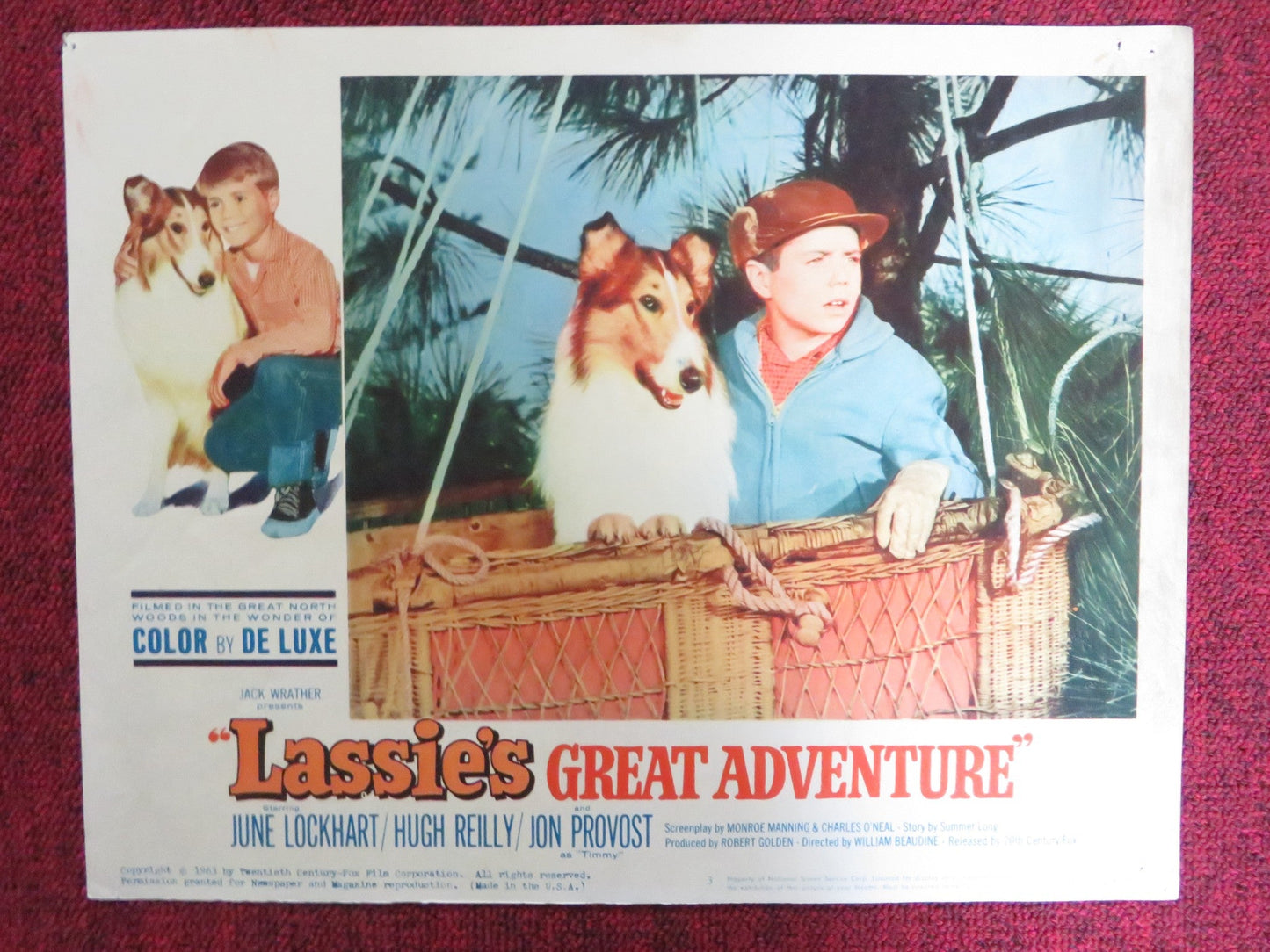 LASSIE'S GREAT ADVENTURE US LOBBY CARD FULL SET JUNE LOCKHART HUGH REILLY 1963 Rendezvous Cinema Movie posters