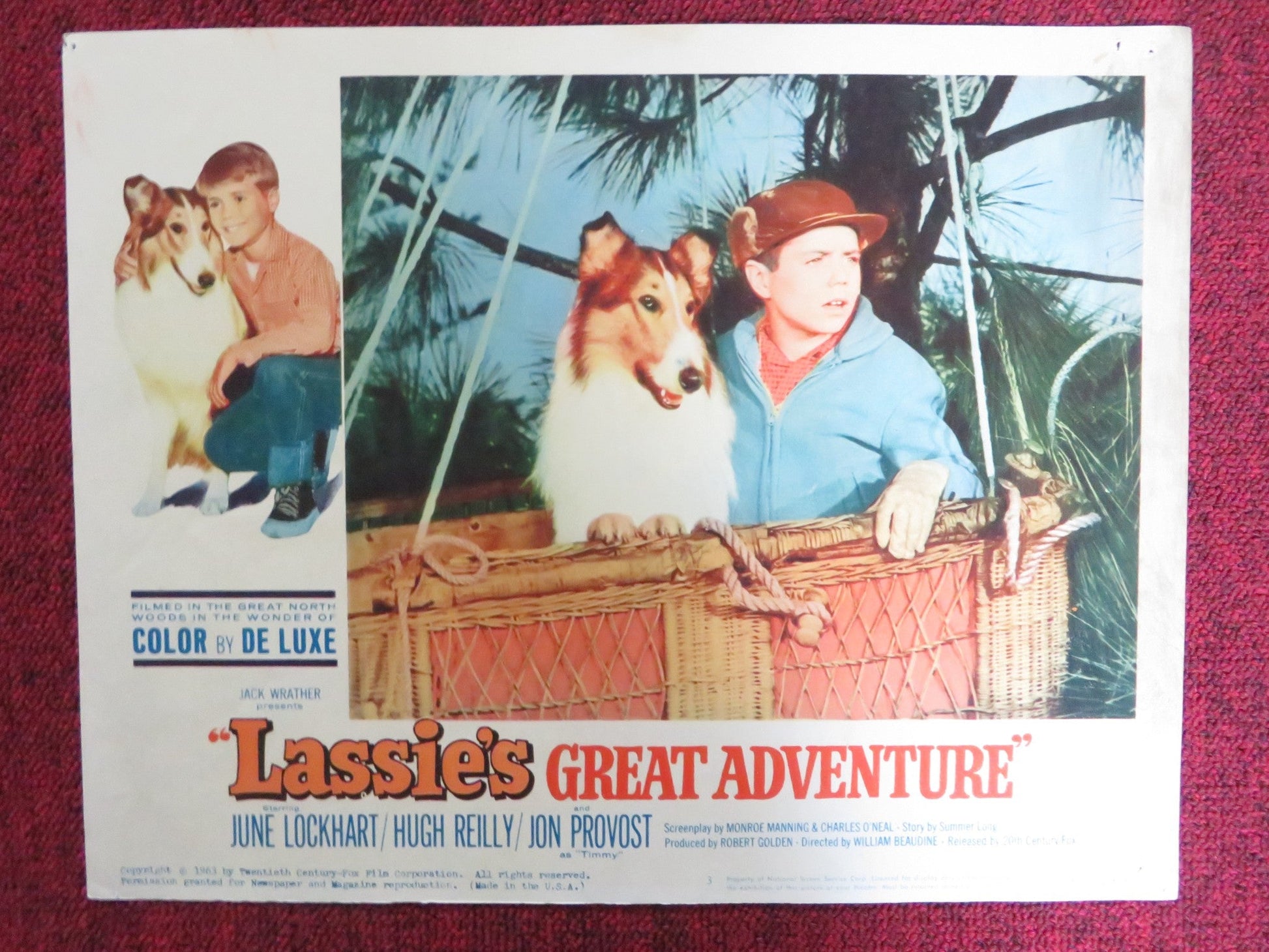 LASSIE'S GREAT ADVENTURE US LOBBY CARD FULL SET JUNE LOCKHART HUGH REILLY 1963 Rendezvous Cinema Movie posters