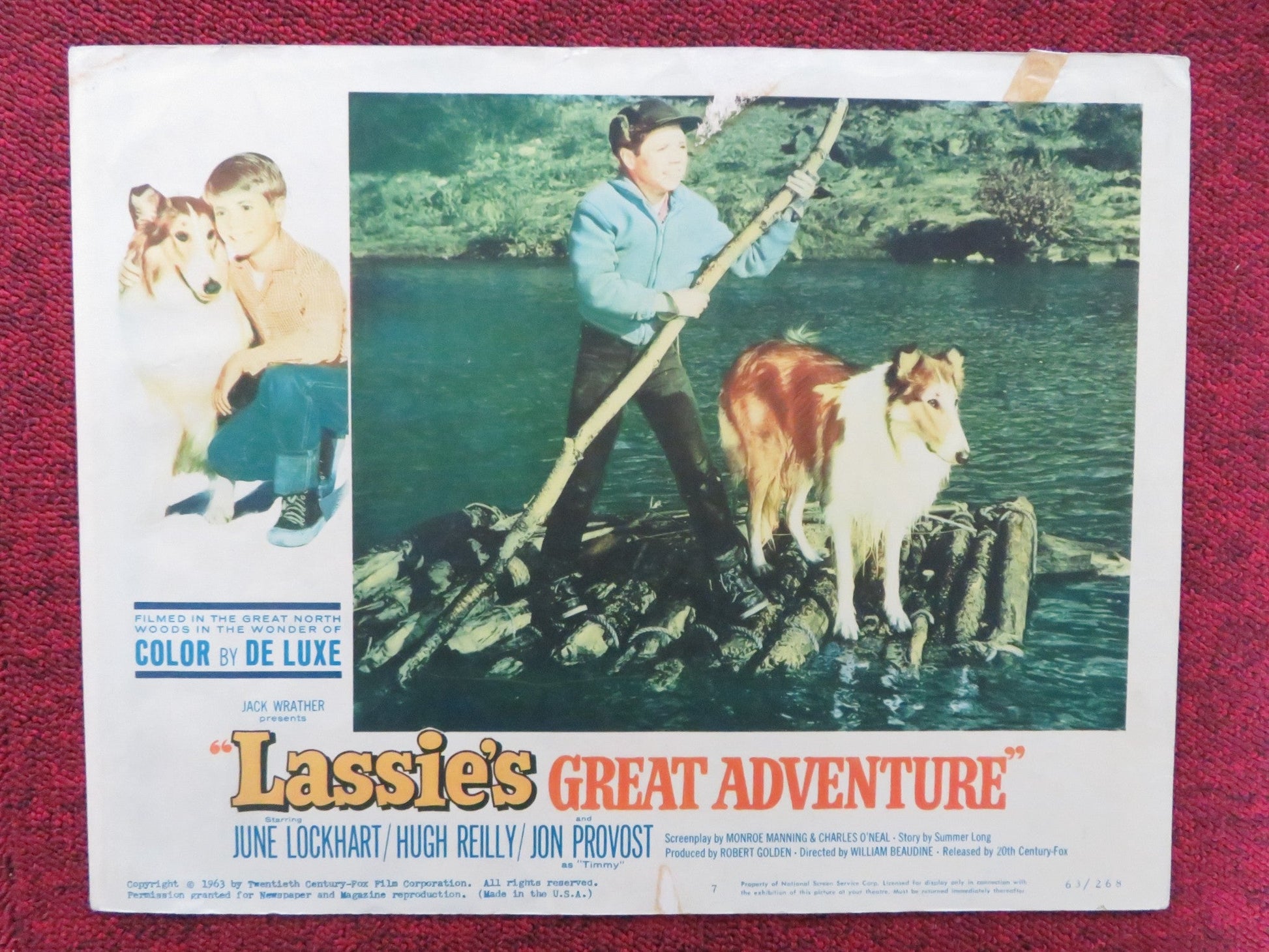 LASSIE'S GREAT ADVENTURE US LOBBY CARD FULL SET JUNE LOCKHART HUGH REILLY 1963 Rendezvous Cinema Movie posters