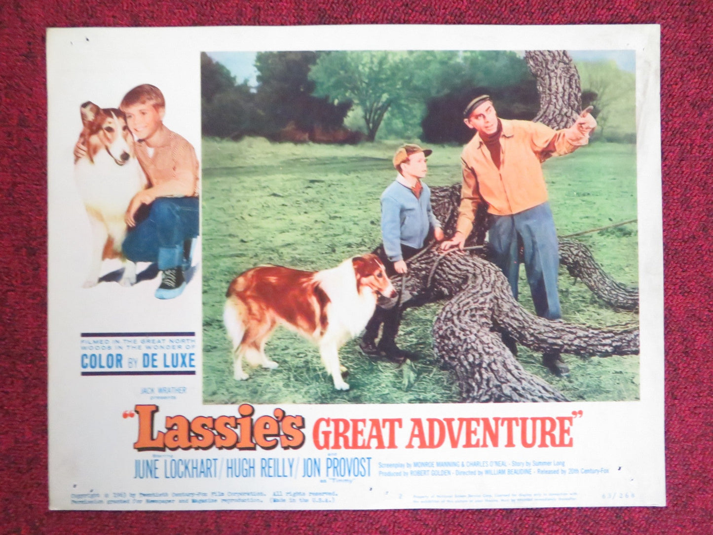LASSIE'S GREAT ADVENTURE US LOBBY CARD FULL SET JUNE LOCKHART HUGH REILLY 1963 Rendezvous Cinema Movie posters