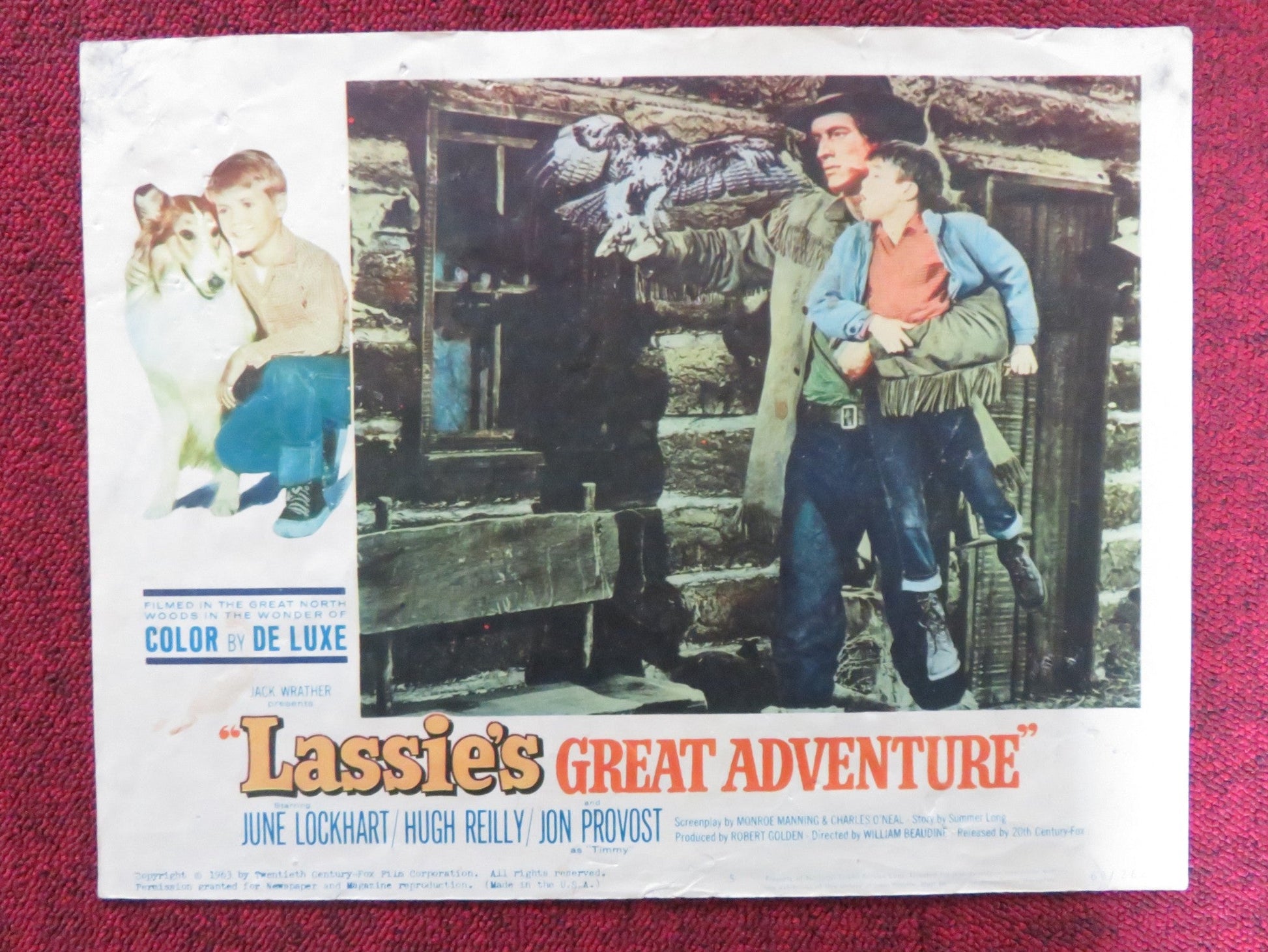 LASSIE'S GREAT ADVENTURE US LOBBY CARD FULL SET JUNE LOCKHART HUGH REILLY 1963 Rendezvous Cinema Movie posters