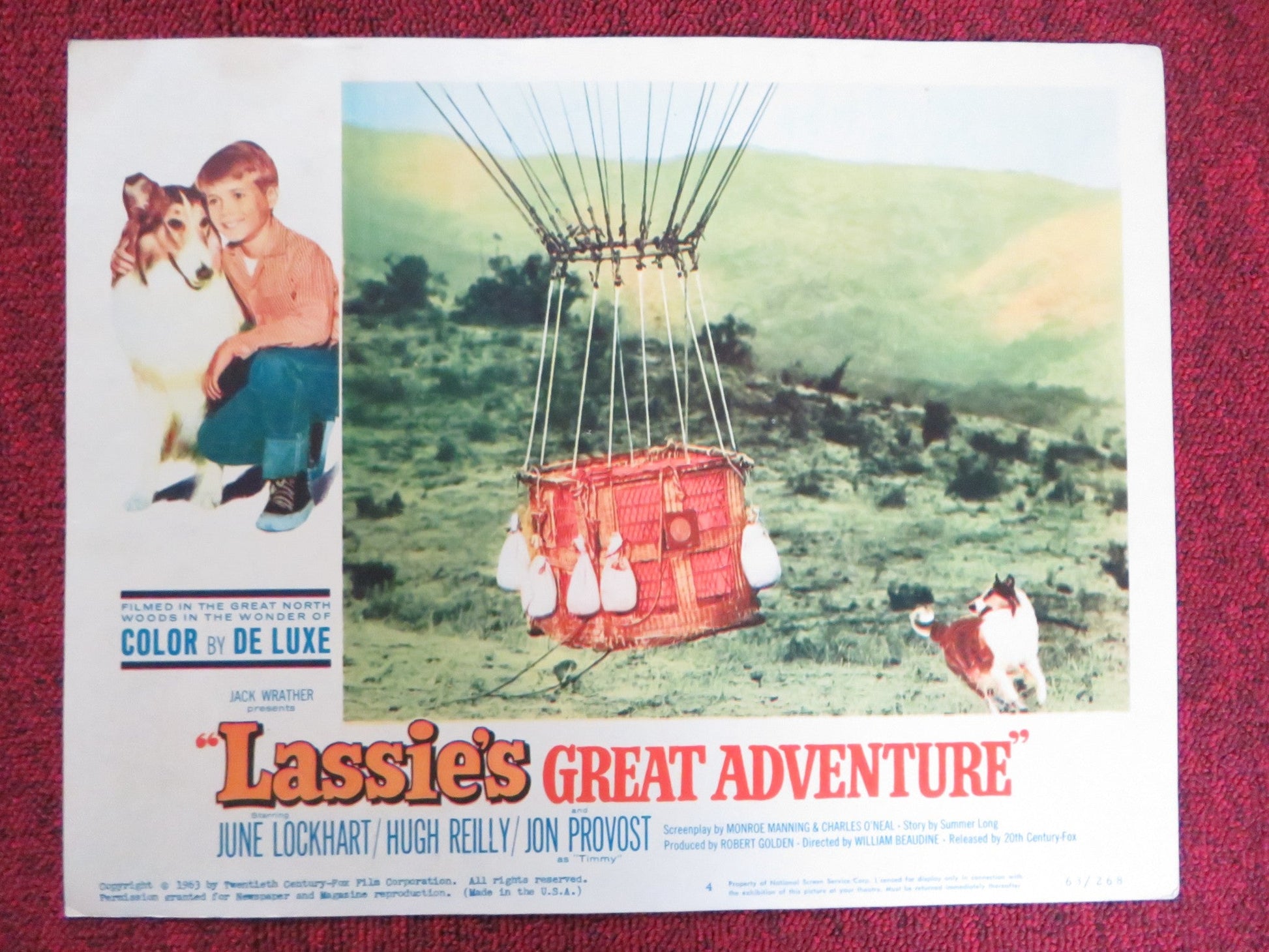 LASSIE'S GREAT ADVENTURE US LOBBY CARD FULL SET JUNE LOCKHART HUGH REILLY 1963 Rendezvous Cinema Movie posters