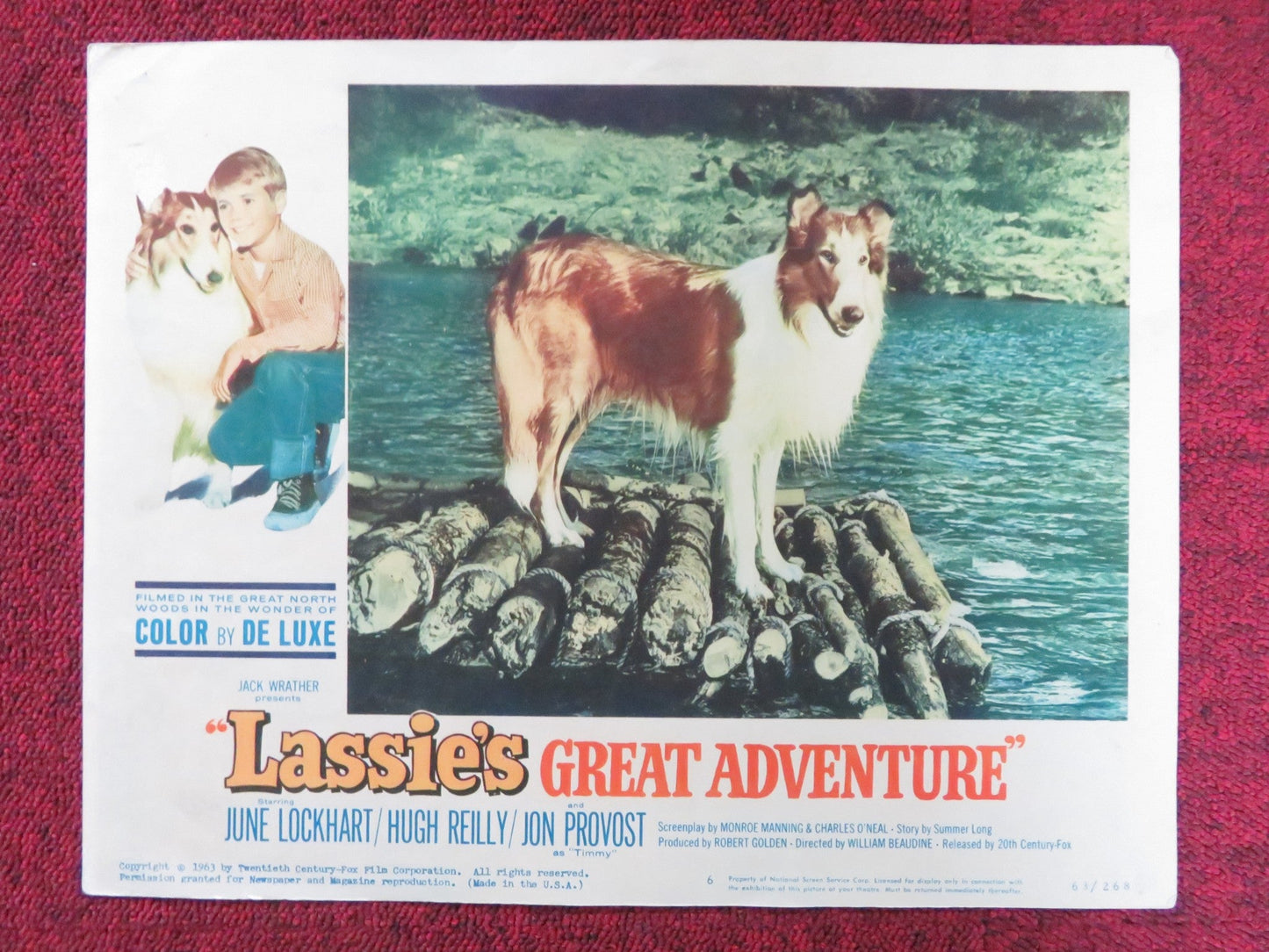 LASSIE'S GREAT ADVENTURE US LOBBY CARD FULL SET JUNE LOCKHART HUGH REILLY 1963 Rendezvous Cinema Movie posters
