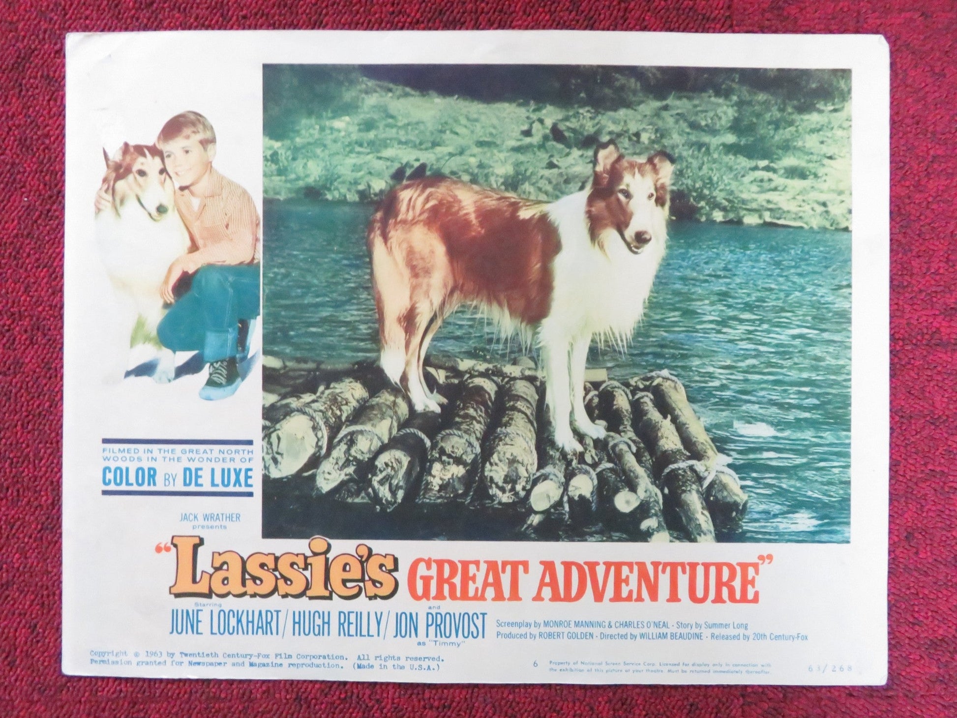 LASSIE'S GREAT ADVENTURE US LOBBY CARD FULL SET JUNE LOCKHART HUGH REILLY 1963 Rendezvous Cinema Movie posters