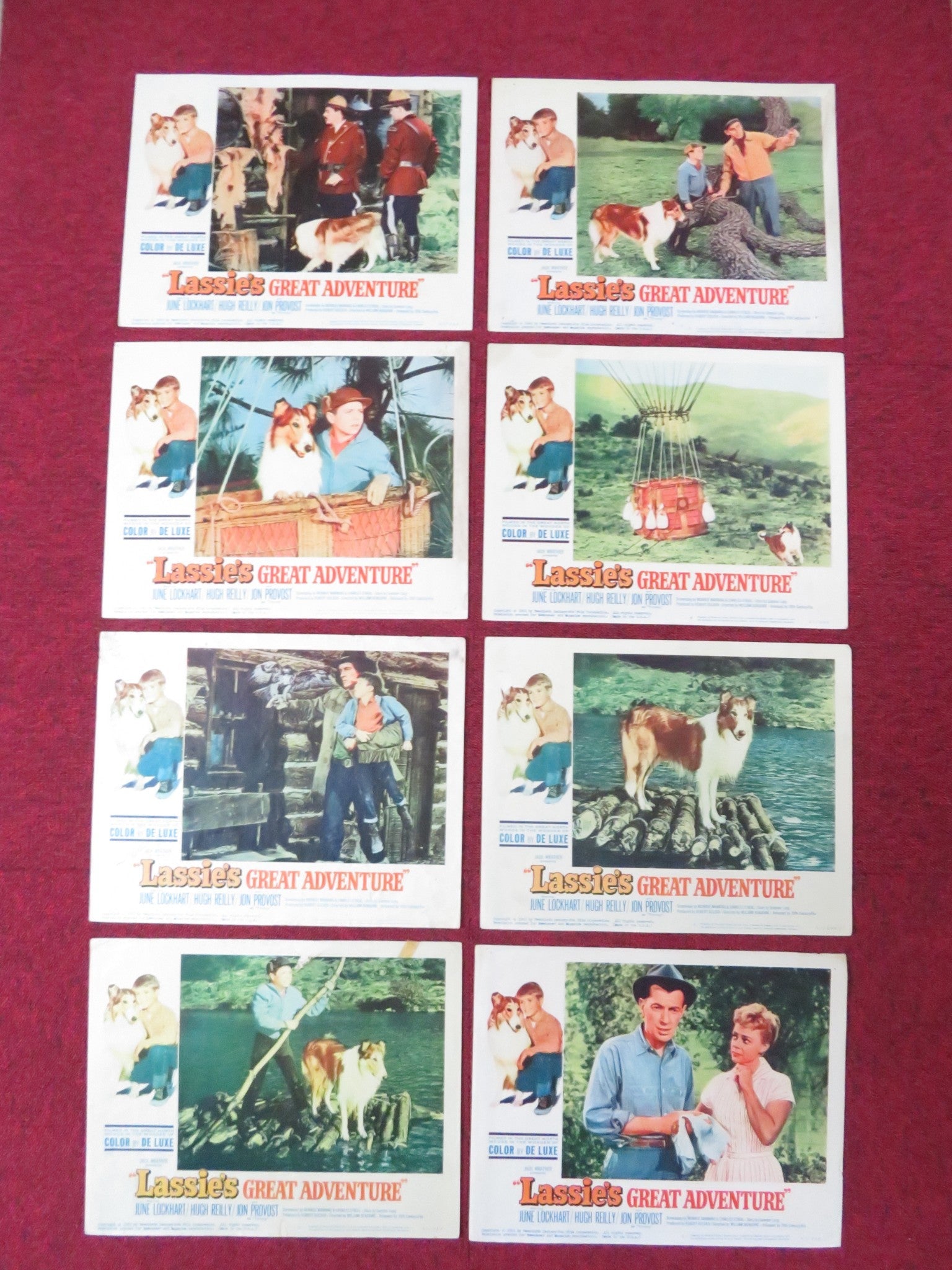 LASSIE'S GREAT ADVENTURE US LOBBY CARD FULL SET JUNE LOCKHART HUGH REILLY 1963 Rendezvous Cinema Movie posters