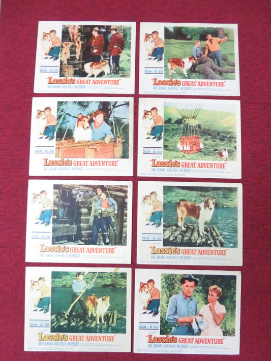 LASSIE'S GREAT ADVENTURE US LOBBY CARD FULL SET JUNE LOCKHART HUGH REILLY 1963 Rendezvous Cinema Movie posters