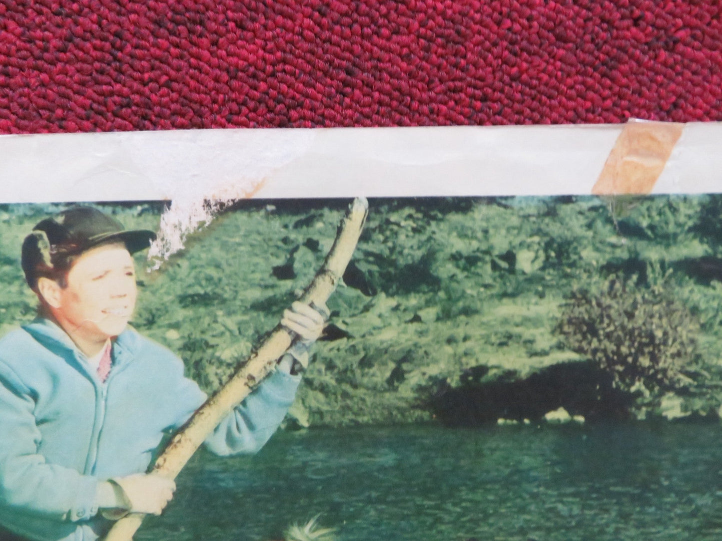 LASSIE'S GREAT ADVENTURE US LOBBY CARD FULL SET JUNE LOCKHART HUGH REILLY 1963 Rendezvous Cinema Movie posters