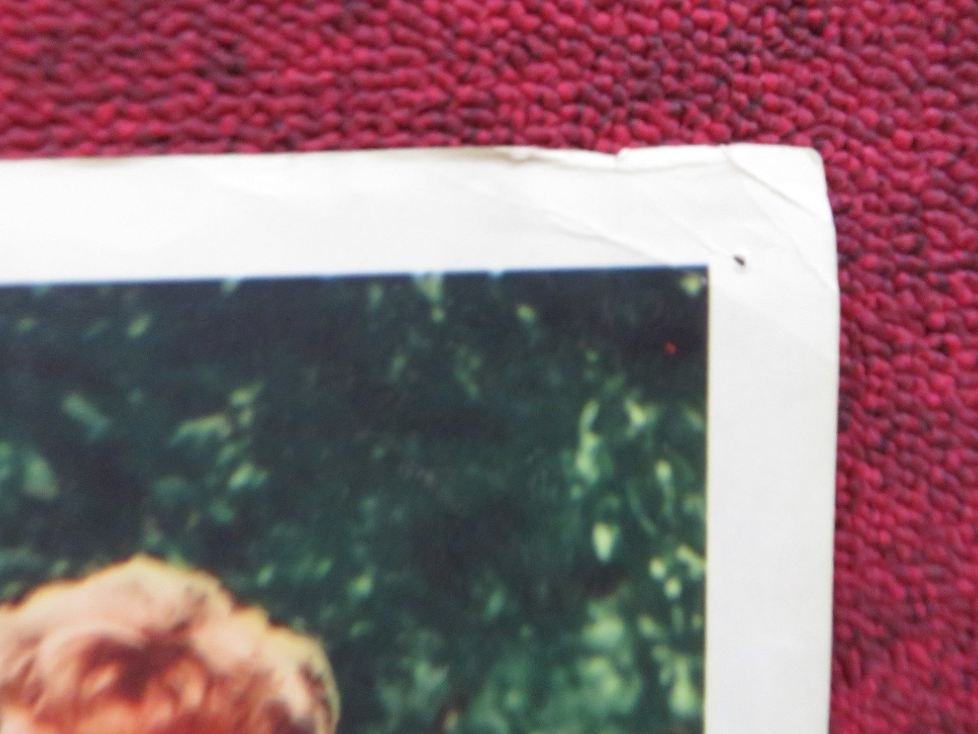 LASSIE'S GREAT ADVENTURE US LOBBY CARD FULL SET JUNE LOCKHART HUGH REILLY 1963 Rendezvous Cinema Movie posters