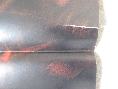 LAST SAMURAI ITALIAN 2 FOGLIO POSTER TOM CRUISE KEN WATANABE 2003 Rendezvous Cinema Movie posters