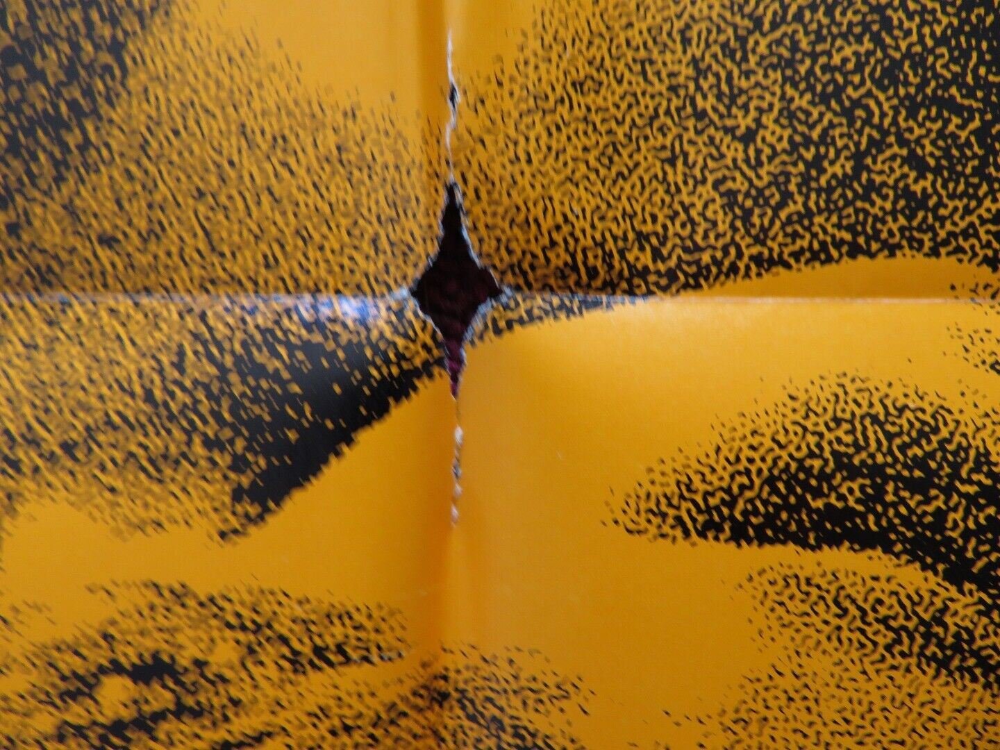 LAST SUMMER FOLDED US ONE SHEET POSTER BARBARA HERSHEY RICHARD THOMAS 1969 - Rendezvous Cinema