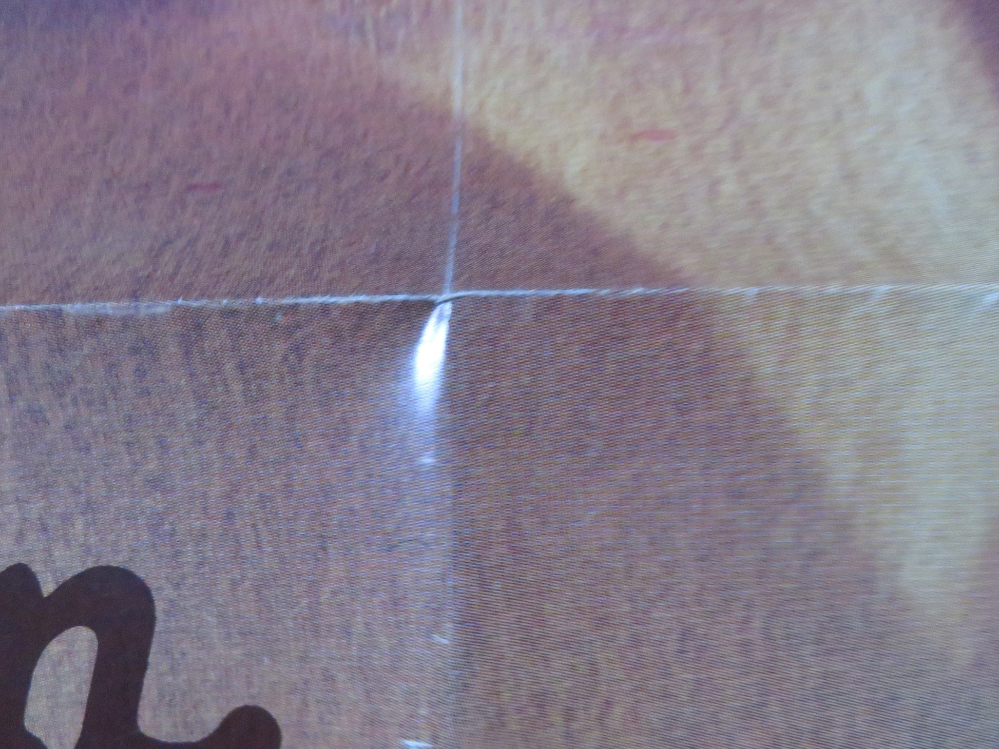 LAST TANGO IN PARIS FOLDED US ONE SHEET POSTER MARLON BRANDO M. SCHNEIDER 1982 Rendezvous Cinema Movie posters