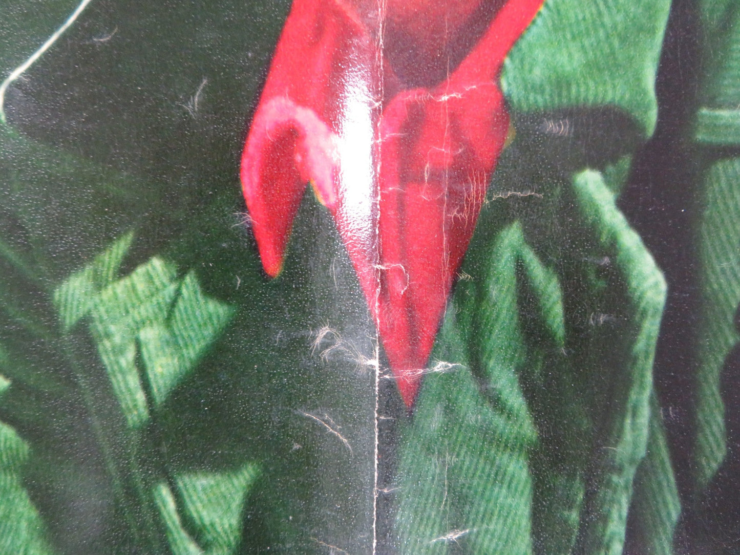 LAW OF THE LAWLESS - B ITALIAN FOTOBUSTA POSTER DALE ROBERTSON Y. DECARLO 1964 Rendezvous Cinema Movie posters