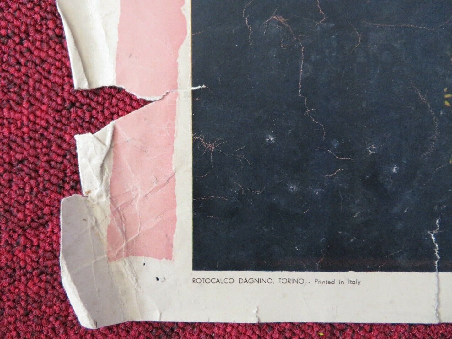 LE DIAVOLERIE DI TILL / BOLD ADVENTURE - E ITALIAN FOTOBUSTA POSTER GERARD 1956 Movie posters