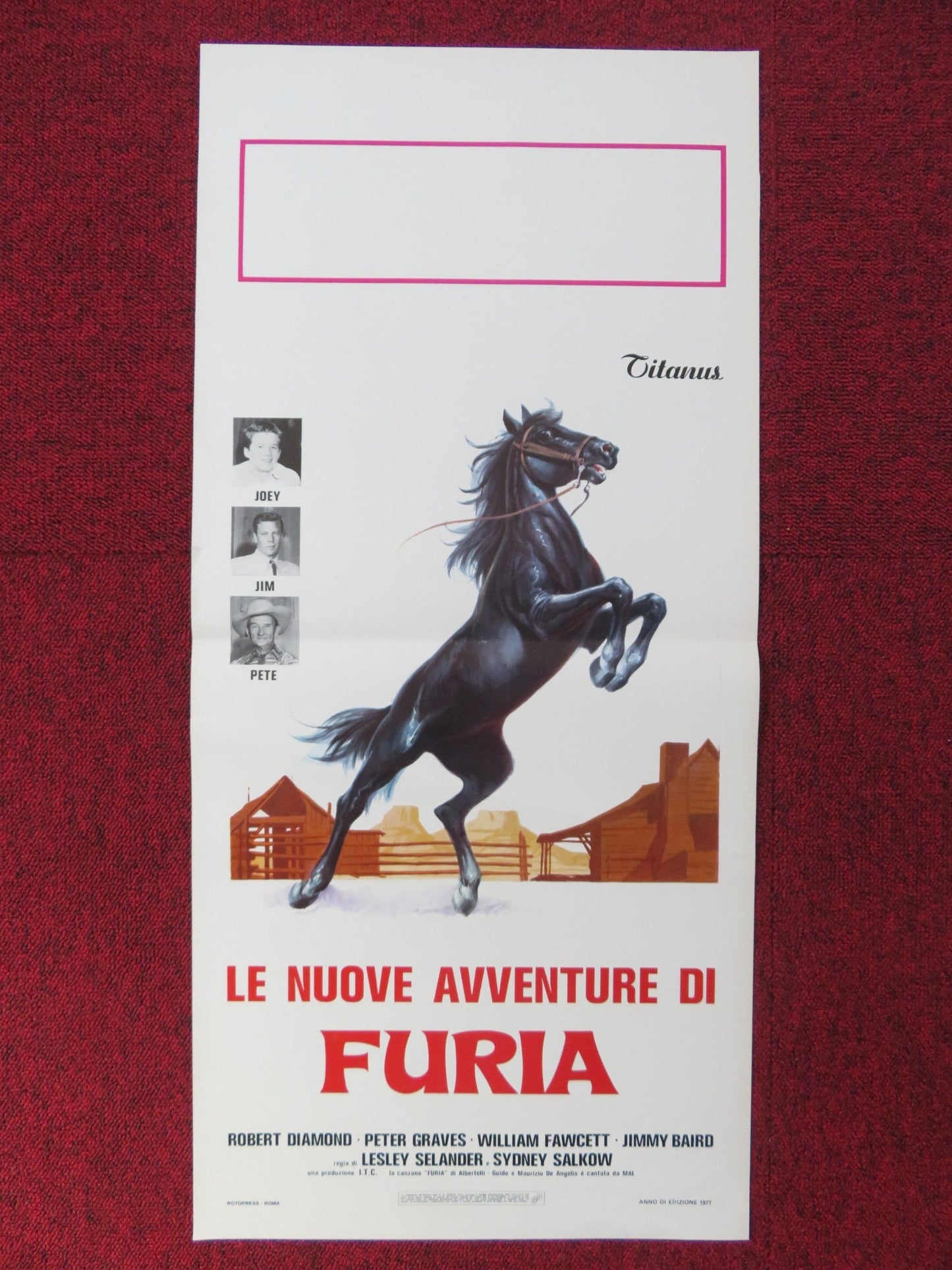 LE NUOVE AVVENTURE DI FURIA ITALIAN LOCANDINA POSTER ROBERT DIAMOND 1977 Rendezvous Cinema Movie posters