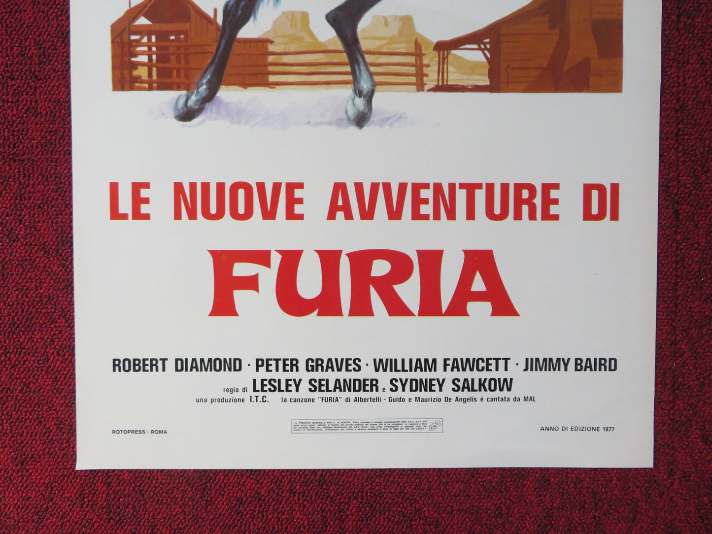LE NUOVE AVVENTURE DI FURIA ITALIAN LOCANDINA POSTER ROBERT DIAMOND 1977 Rendezvous Cinema Movie posters