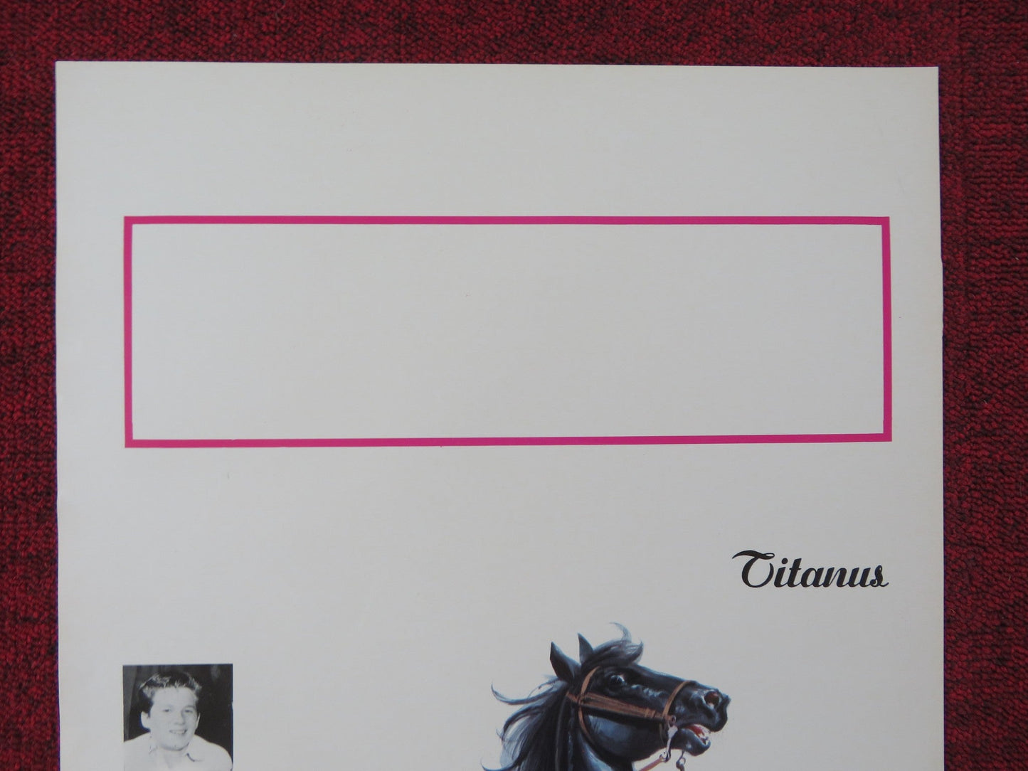 LE NUOVE AVVENTURE DI FURIA ITALIAN LOCANDINA POSTER ROBERT DIAMOND 1977 Rendezvous Cinema Movie posters