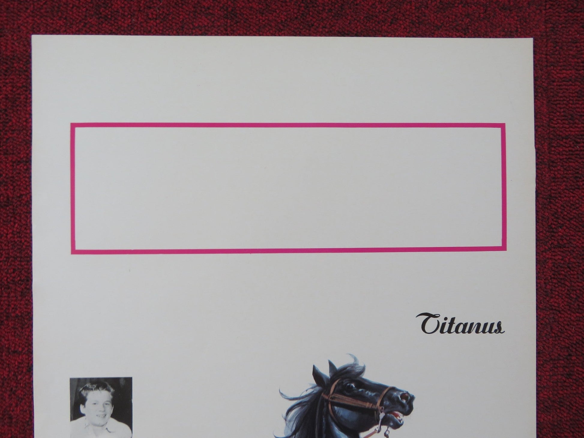 LE NUOVE AVVENTURE DI FURIA ITALIAN LOCANDINA POSTER ROBERT DIAMOND 1977 Rendezvous Cinema Movie posters