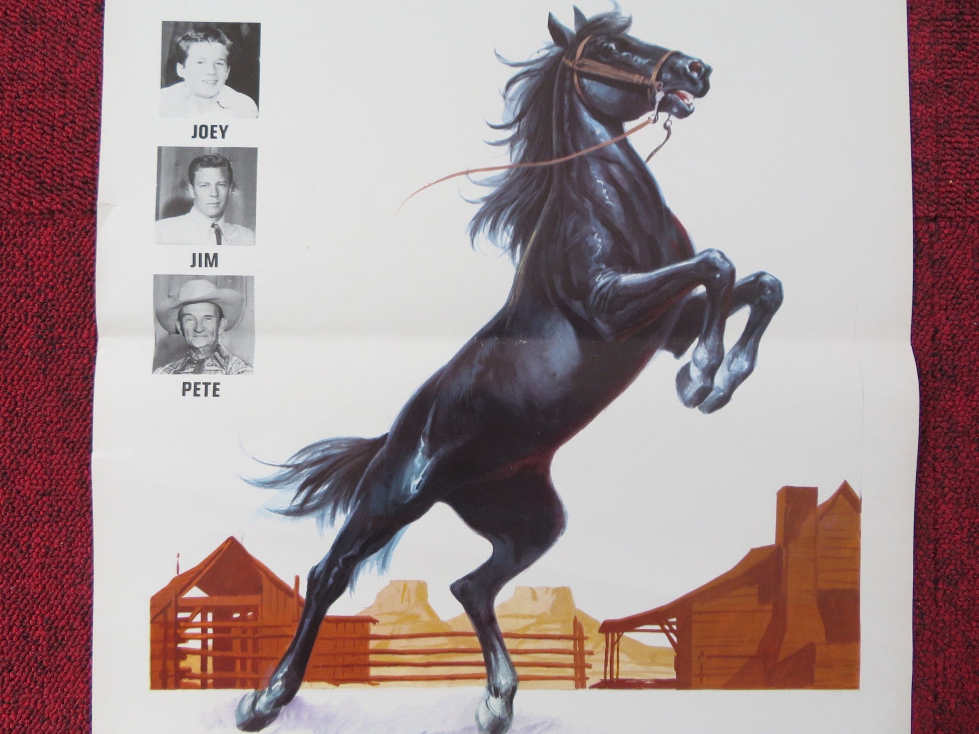 LE NUOVE AVVENTURE DI FURIA ITALIAN LOCANDINA POSTER ROBERT DIAMOND 1977 Rendezvous Cinema Movie posters