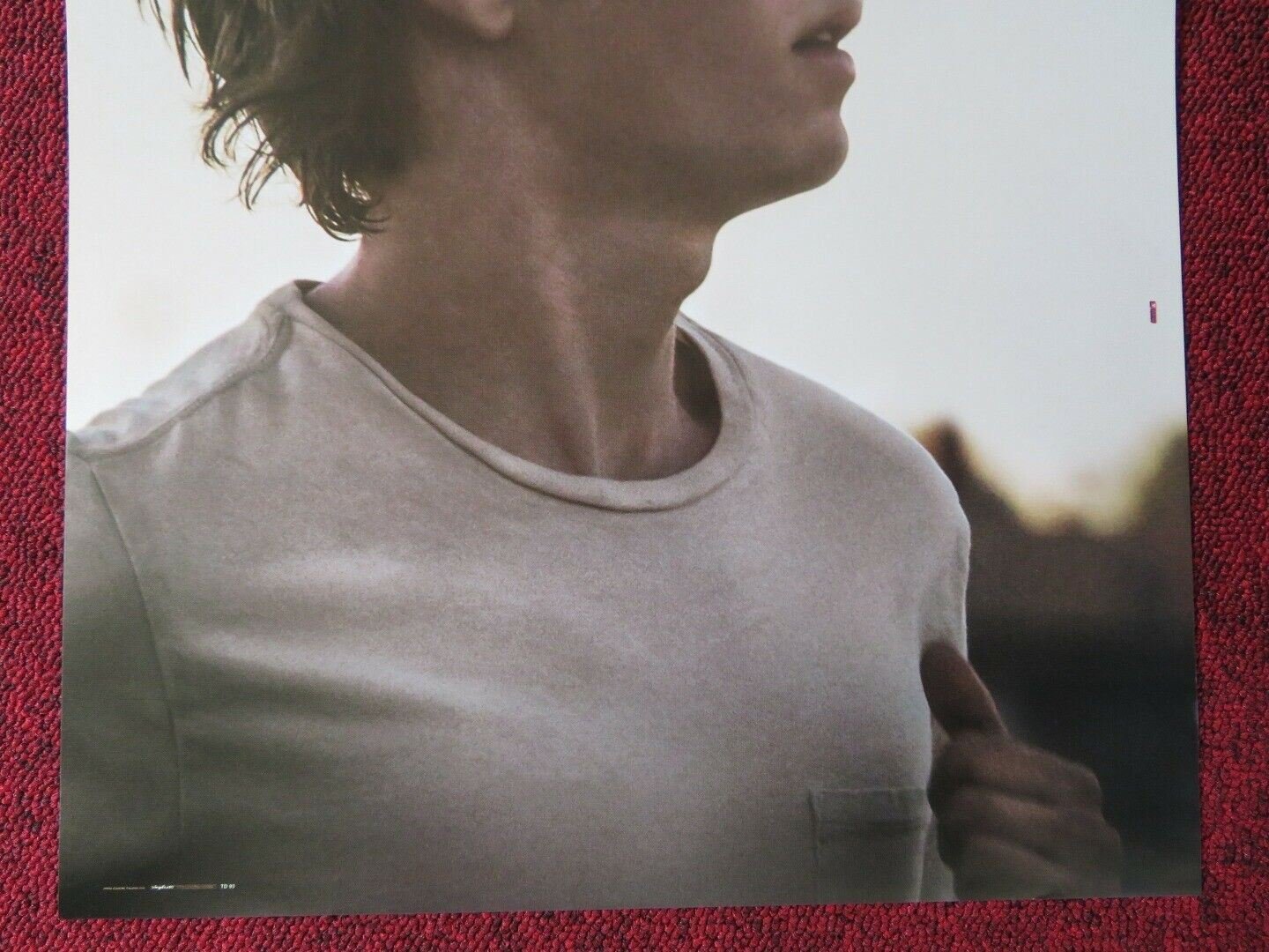 LEAN ON PETE ITALIAN LOCANDINA (26.5"x12.5") POSTER CHARLEY PLUMMER 2017 - Rendezvous Cinema