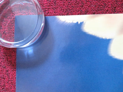 LEGEND OF THE GUARDIANS: THE OWLS OF GA'HOOLE UK QUAD ROLLED POSTER BARCLAY 2010 Rendezvous Cinema Movie posters