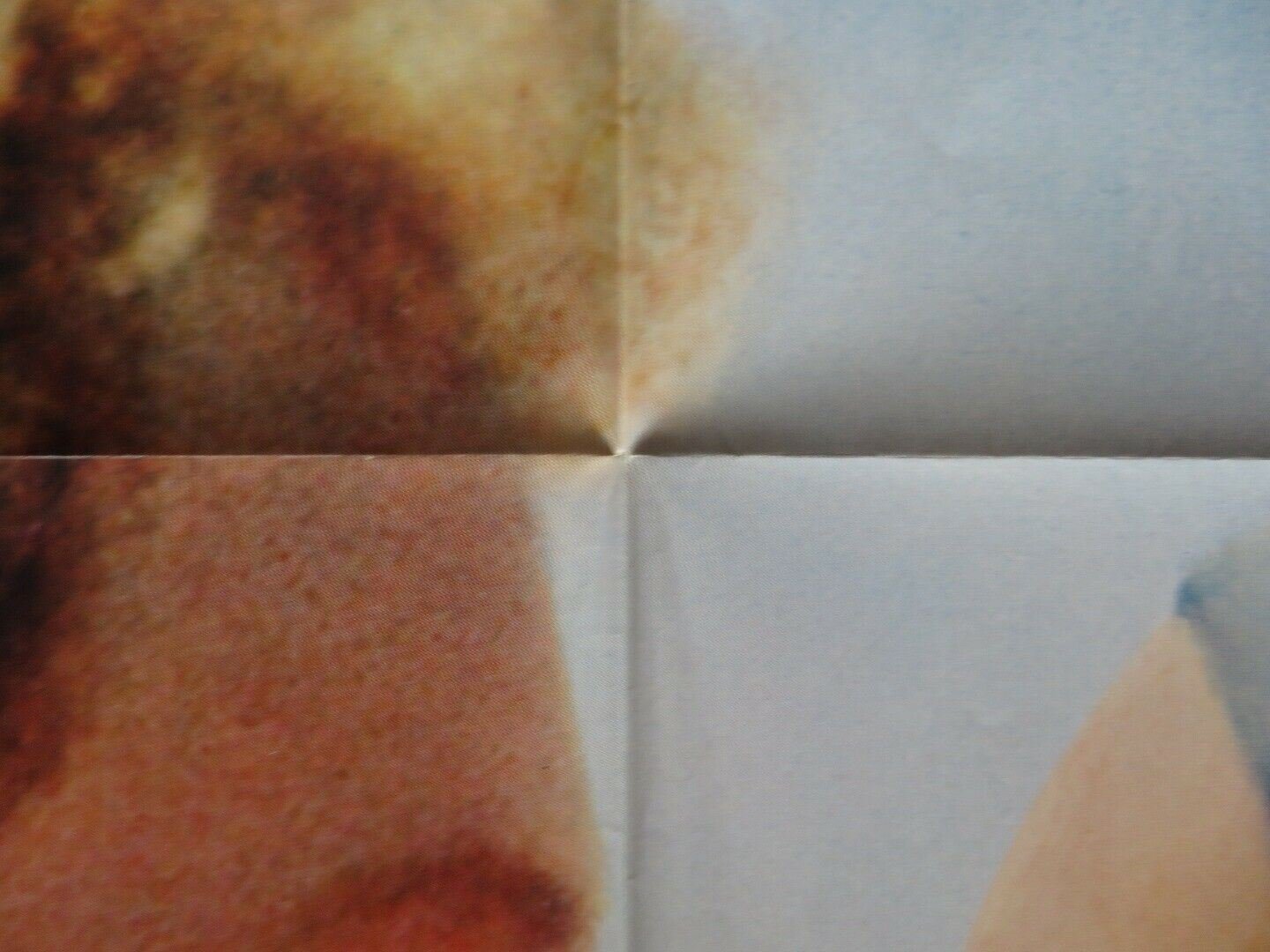 LEO AND LOREE FOLDED US ONE SHEET POSTER DONNY MOST LINDA PURL 1980 Movie posters