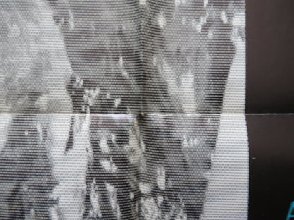 LEO THE LAST FOLDED US ONE SHEET POSTER BILLIE WHITELAW CALVIN LOCKHART 1970 Rendezvous Cinema Movie posters