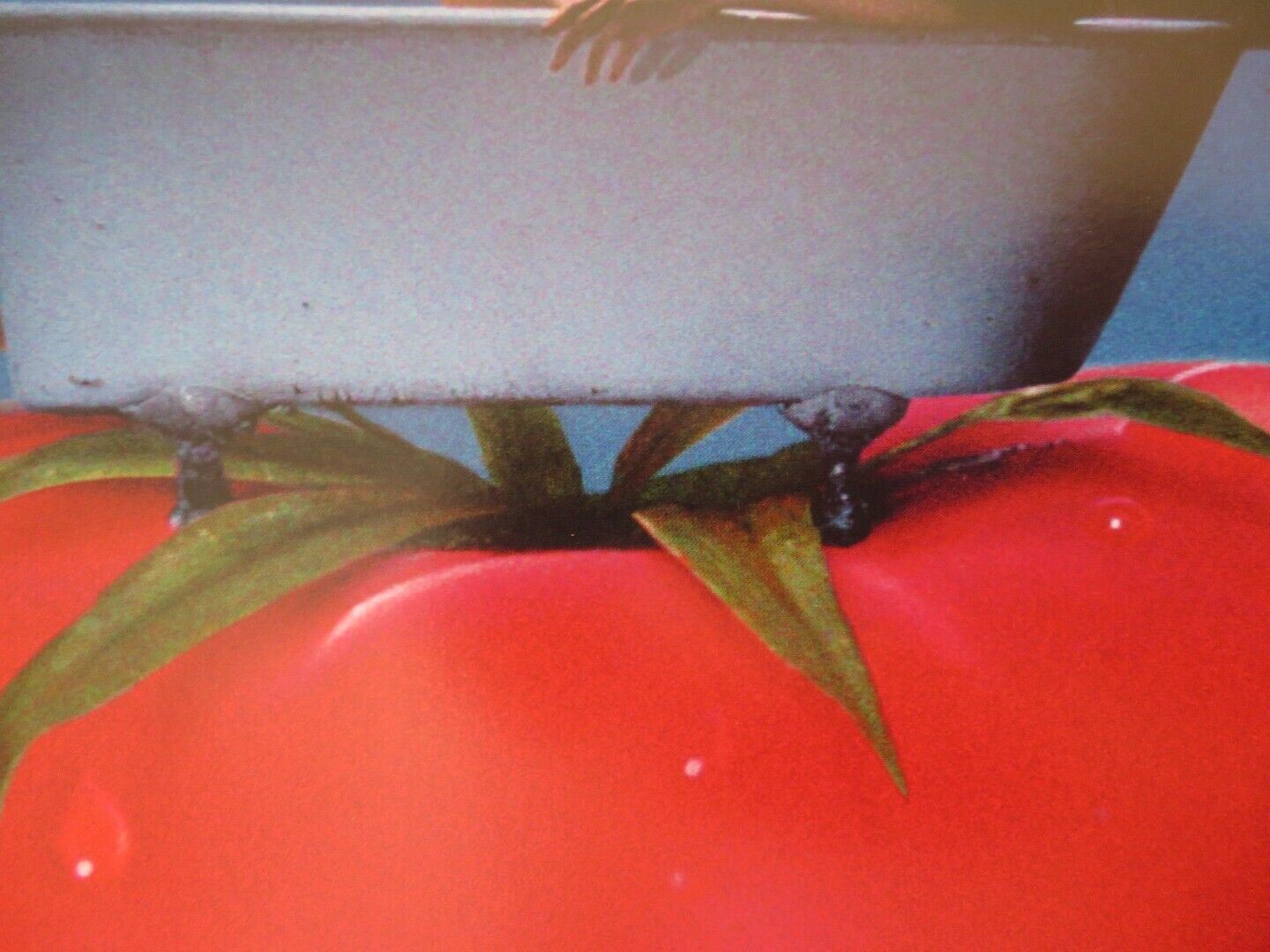 LEOLO US ONE SHEET ROLLED POSTER GILBERT SICOTTE MAXIME COLLIN 1992 Movie posters