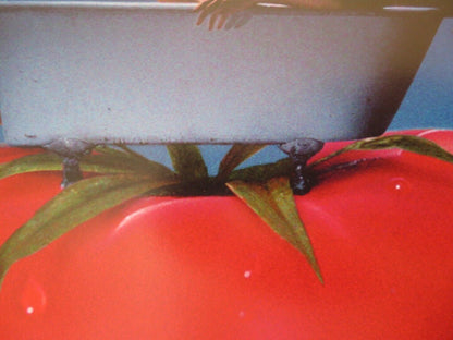 LEOLO US ONE SHEET ROLLED POSTER GILBERT SICOTTE MAXIME COLLIN 1992 Movie posters