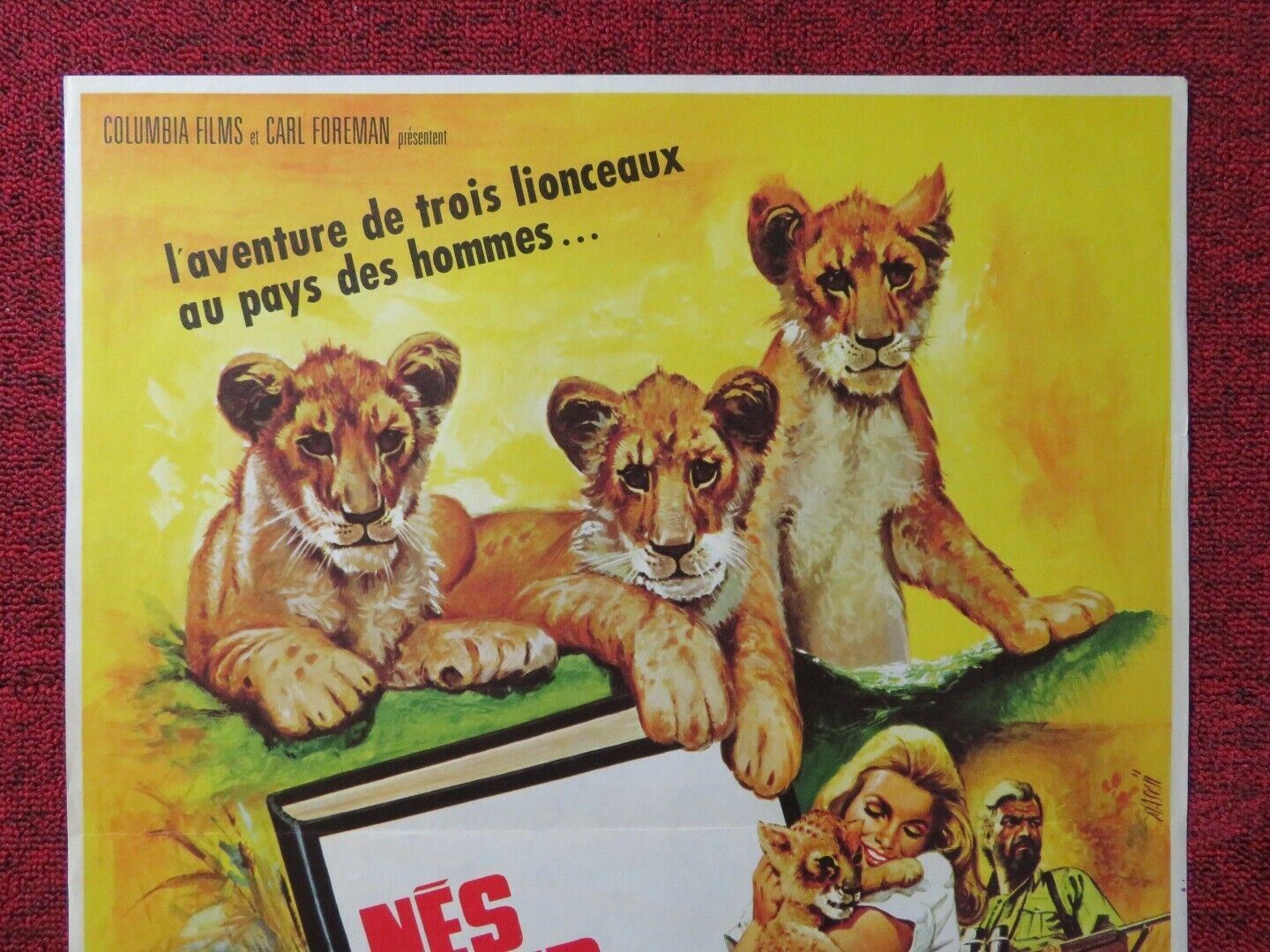 LES POUR ETRE LIBRES /Living Free FRENCH (15.5"x 20.5") POSTER NIGEL DAVENPORT - Rendezvous Cinema