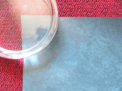 LET ME IN UK QUAD (30"x 40") ROLLED POSTER HAMMER KODI SMIT - MCPHEE 2010 Rendezvous Cinema Movie posters