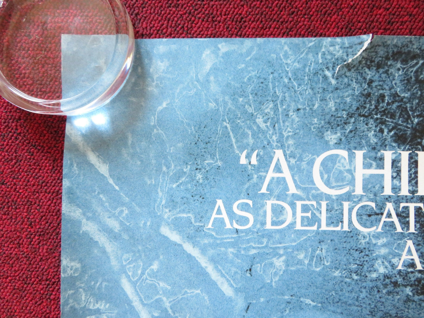 LET THE RIGHT ONE IN UK QUAD (30"x 40") ROLLED POSTER KARE HEDEBRANT 2008 Rendezvous Cinema Movie posters