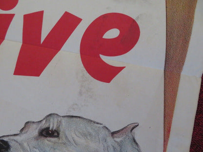 LET'S LIVE AGAIN ONE FOLDED US ONE SHEET POSTER JOHN EMERY HILLARY BROOKE 1948 Movie posters