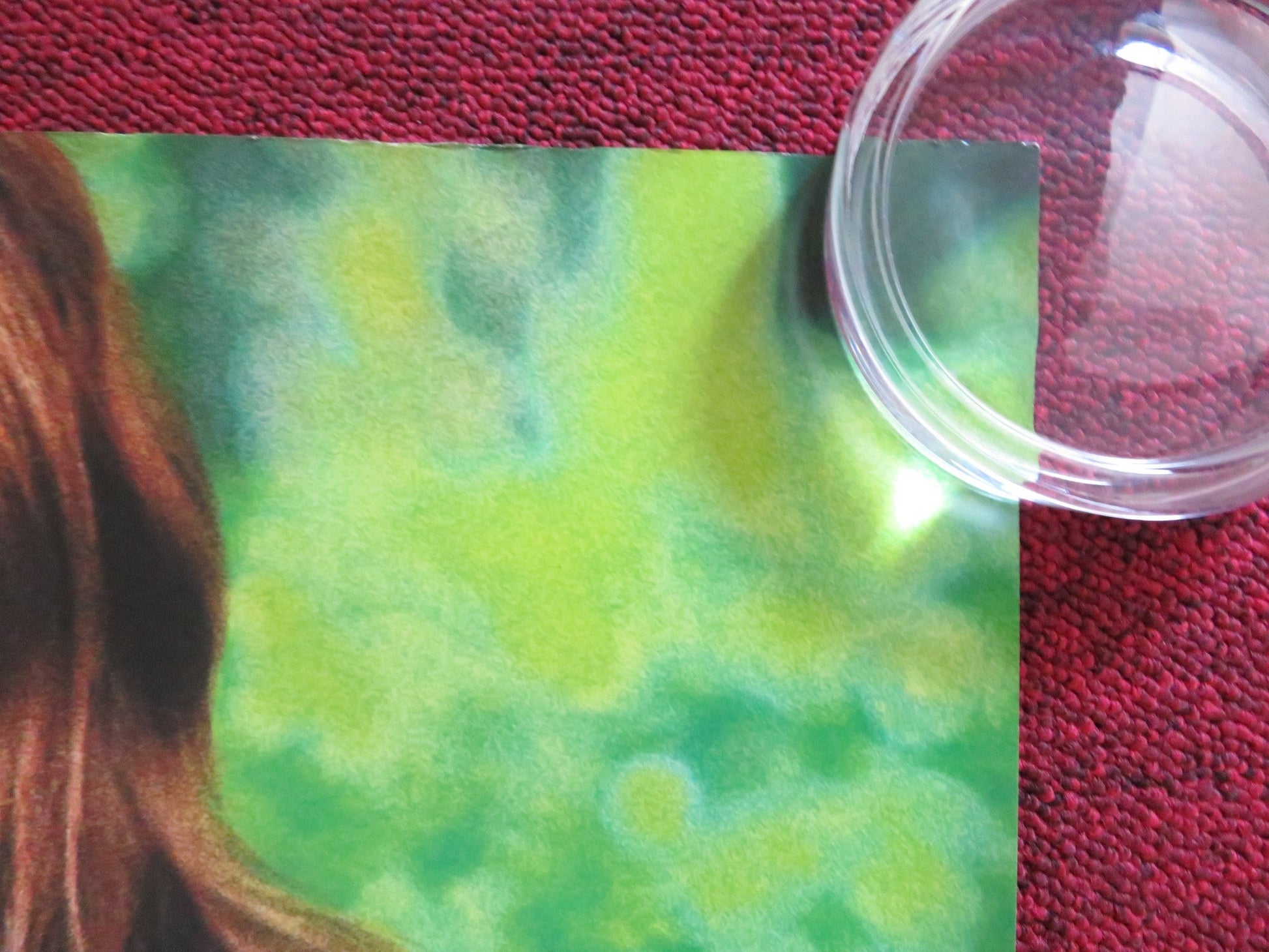 LET'S TALK ABOUT THE RAIN UK QUAD ROLLED POSTER AGNES JAOUI BACRI 2008 Rendezvous Cinema Movie posters