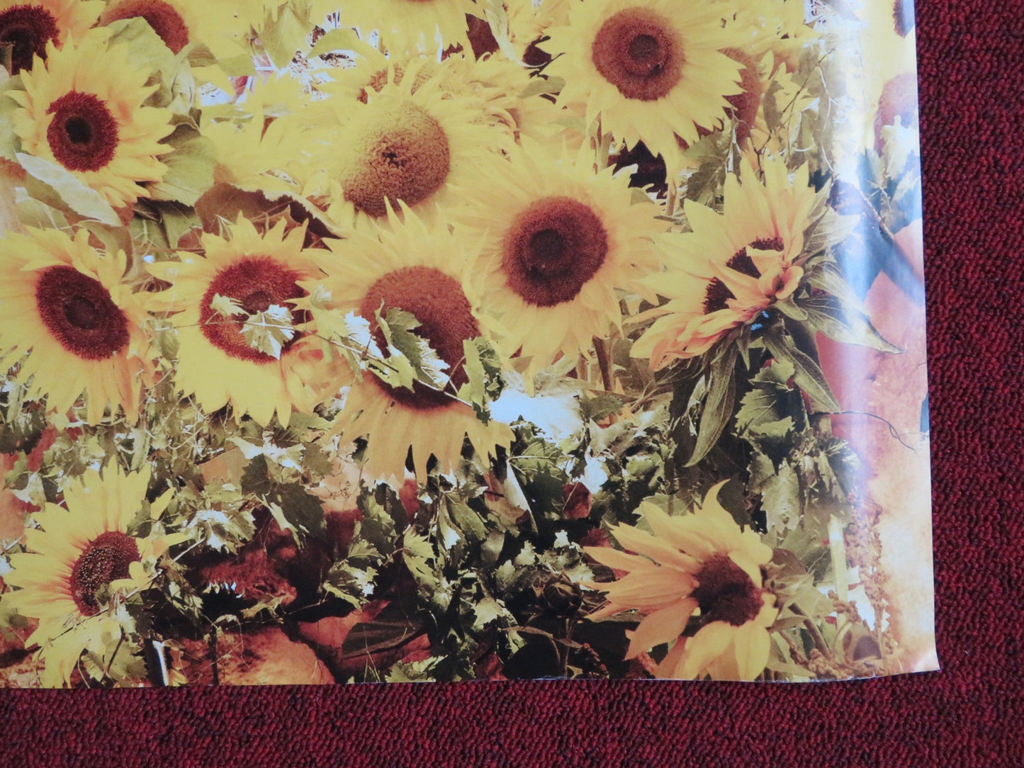 LETTERS TO JULIET UK QUAD (30"x 40") ROLLED POSTER AMANDA SEYFRIED 2010 Rendezvous Cinema Movie posters