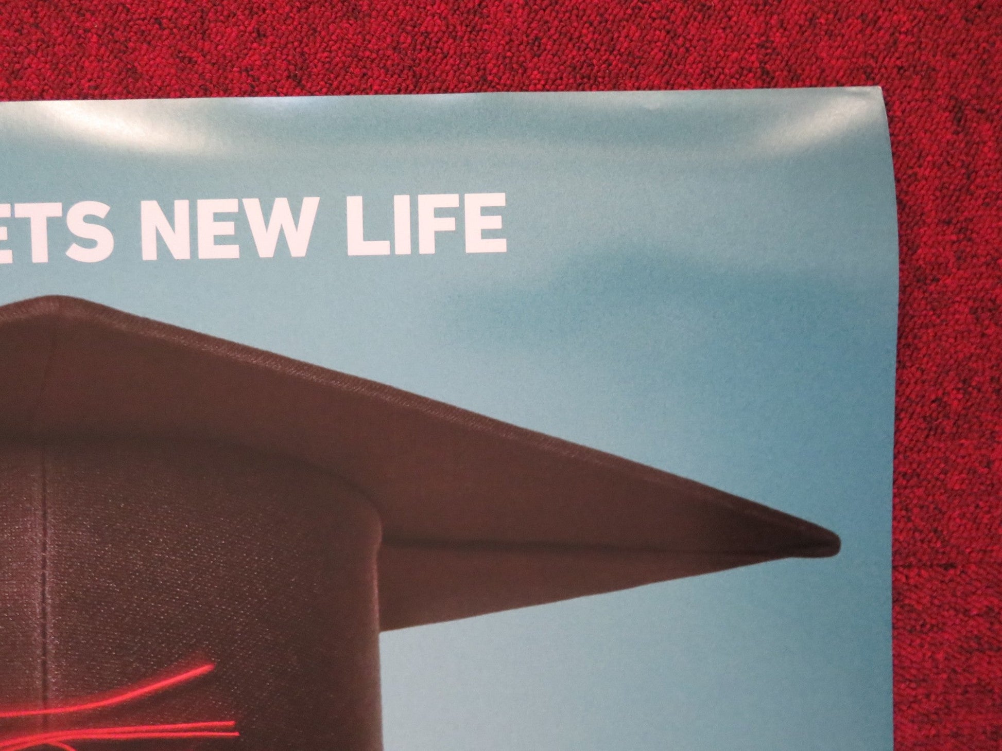 LIFE OF THE PARTY US ONE SHEET ROLLED POSTER MELISSA MCCARTHY 2018 Rendezvous Cinema Movie posters