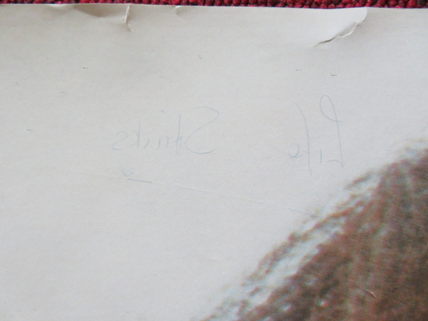 LIFE STINKS UK QUAD (30"x 40") ROLLED POSTER MEL BROOKS 1991 Rendezvous Cinema Movie posters