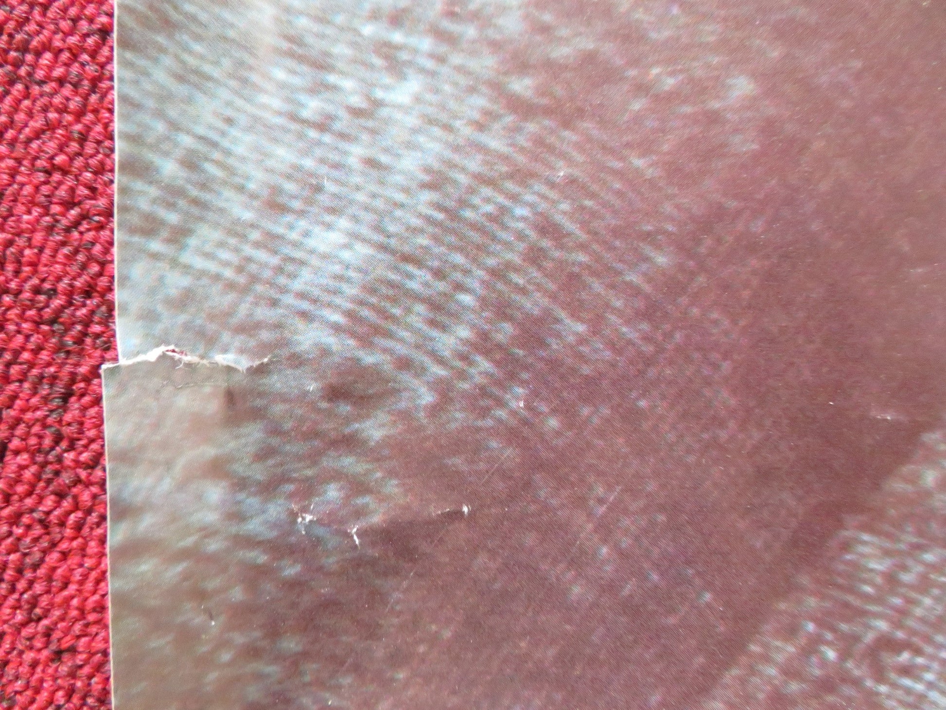 LIFE STINKS UK QUAD (30"x 40") ROLLED POSTER MEL BROOKS 1991 Rendezvous Cinema Movie posters