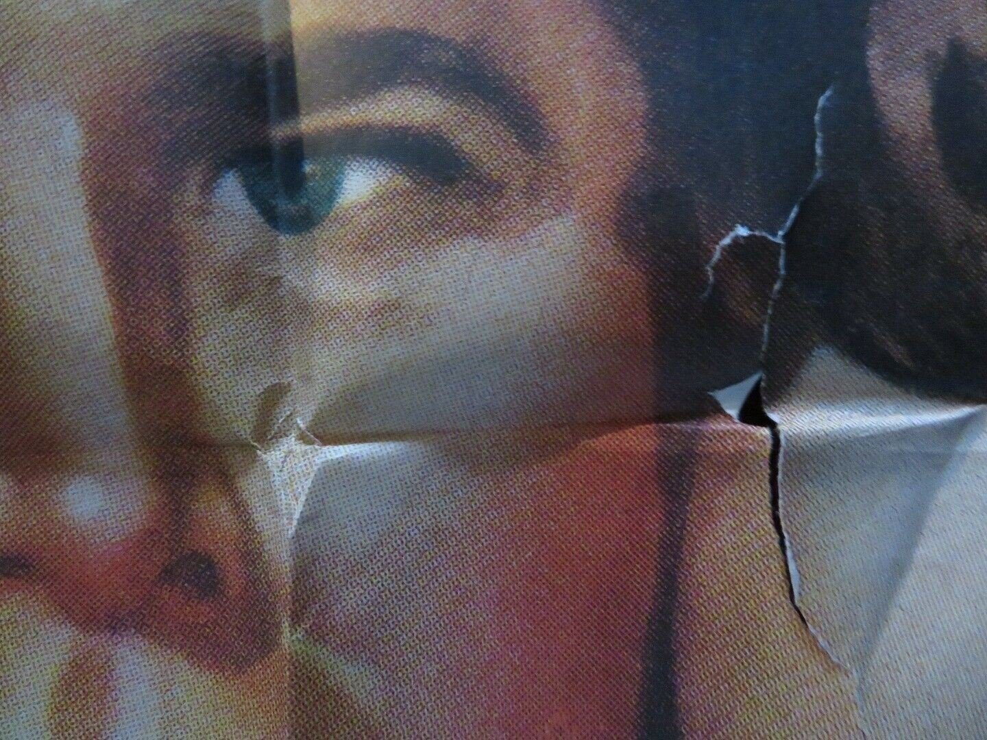 LIGHTNIN' IN THE FOREST FOLDED US ONE SHEET POSTER LYNNE ROBERTS 1948 Movie posters