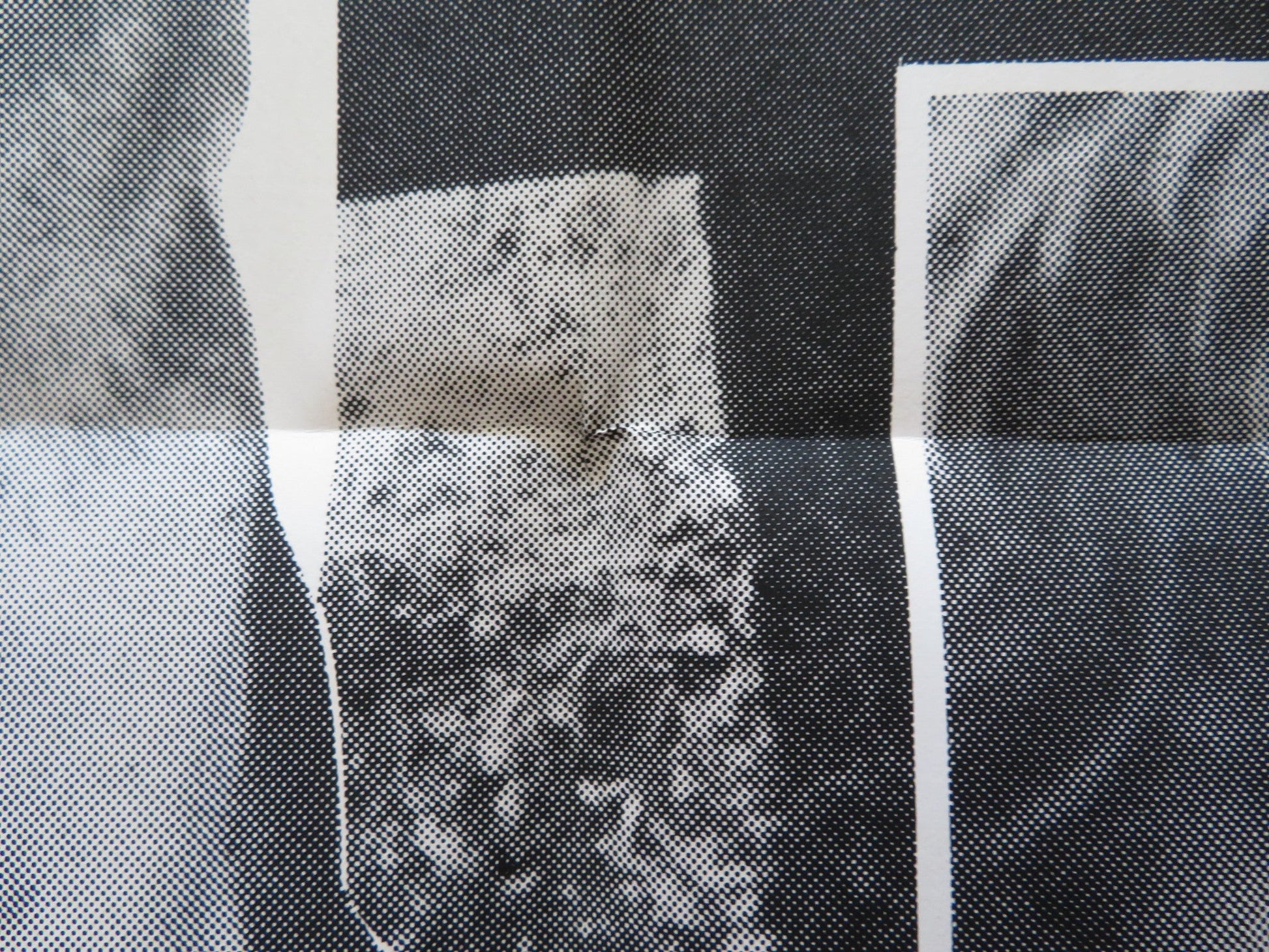 LIONS FOR BREAKFAST FOLDED US ONE SHEET POSTER JAN RUBES JIM HENSHAW 1975 Rendezvous Cinema Movie posters