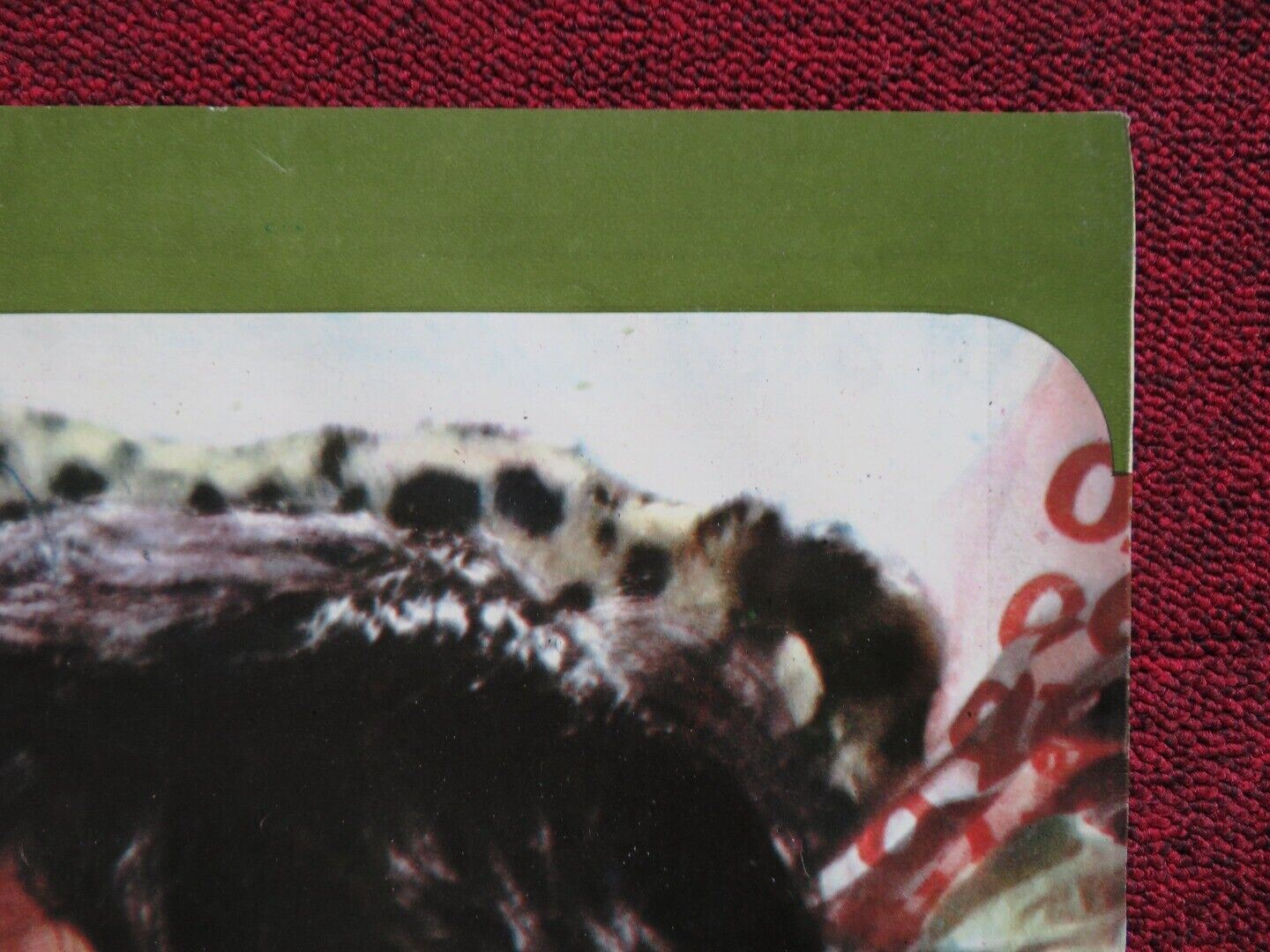 L'ITALIA S'E ROTTA ITALIAN FOGLIO ROLLED POSTER DALILA DI LAZZARO TEO TEOCOLI Movie posters