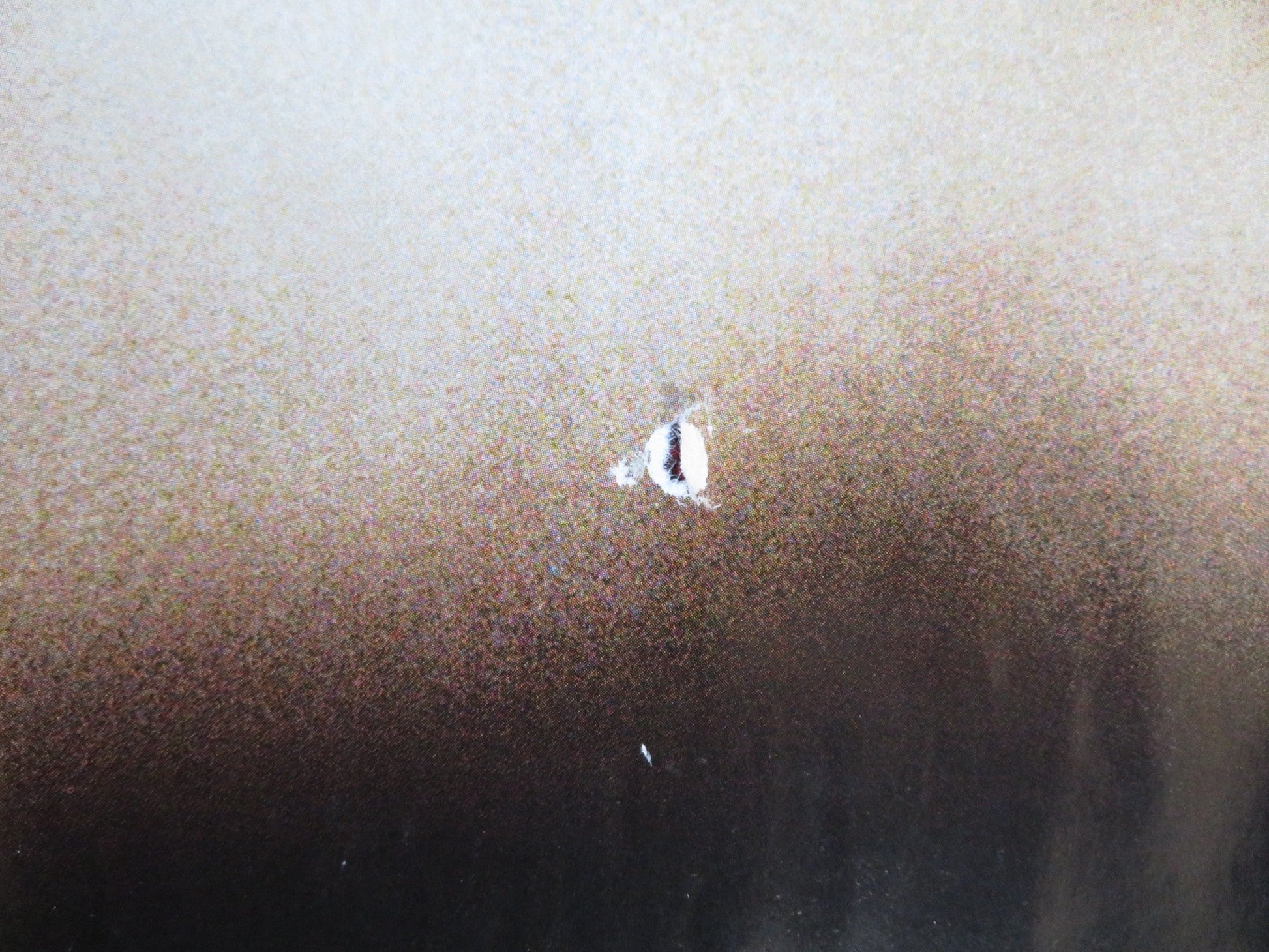 LITTLE CHILDREN UK QUAD (30"x 40") ROLLED POSTER KATE WINSLET J. CONNELLY 2006 Rendezvous Cinema Movie posters