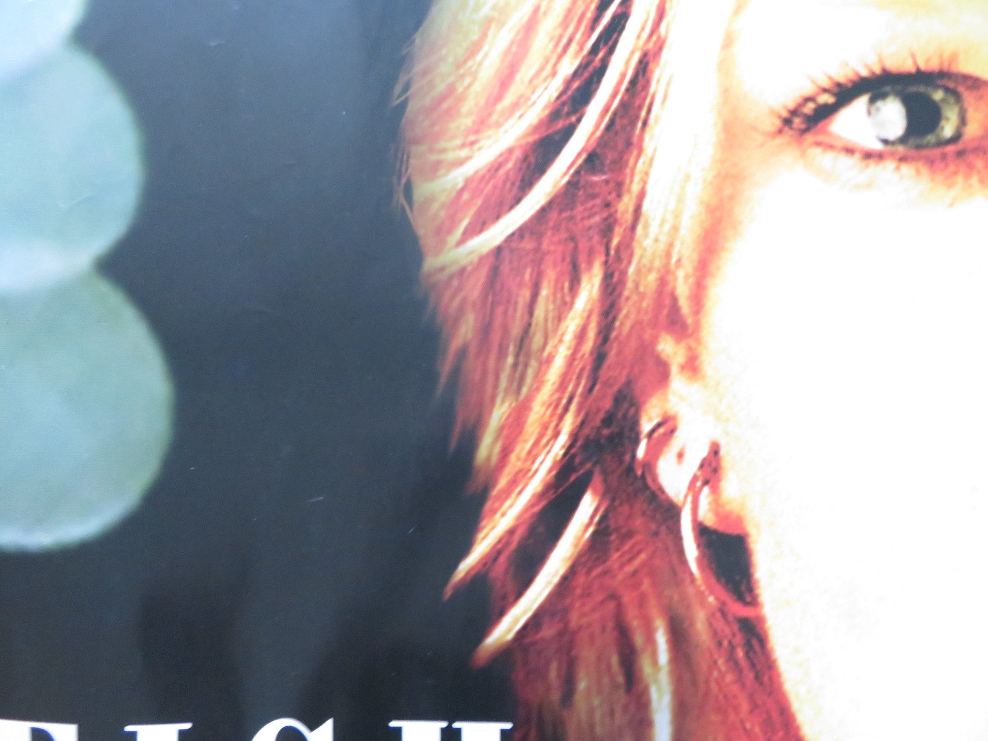 LITTLE FISH UK QUAD (30"x 40") ROLLED POSTER CATE BLANCHETT SAM NEILL 2005 Rendezvous Cinema Movie posters