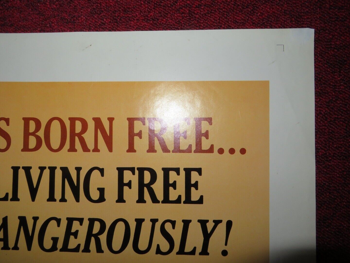 LIVING FREE FOLDED US ONE SHEET POSTER NIGEL DAVENPORT 1972 Movie posters