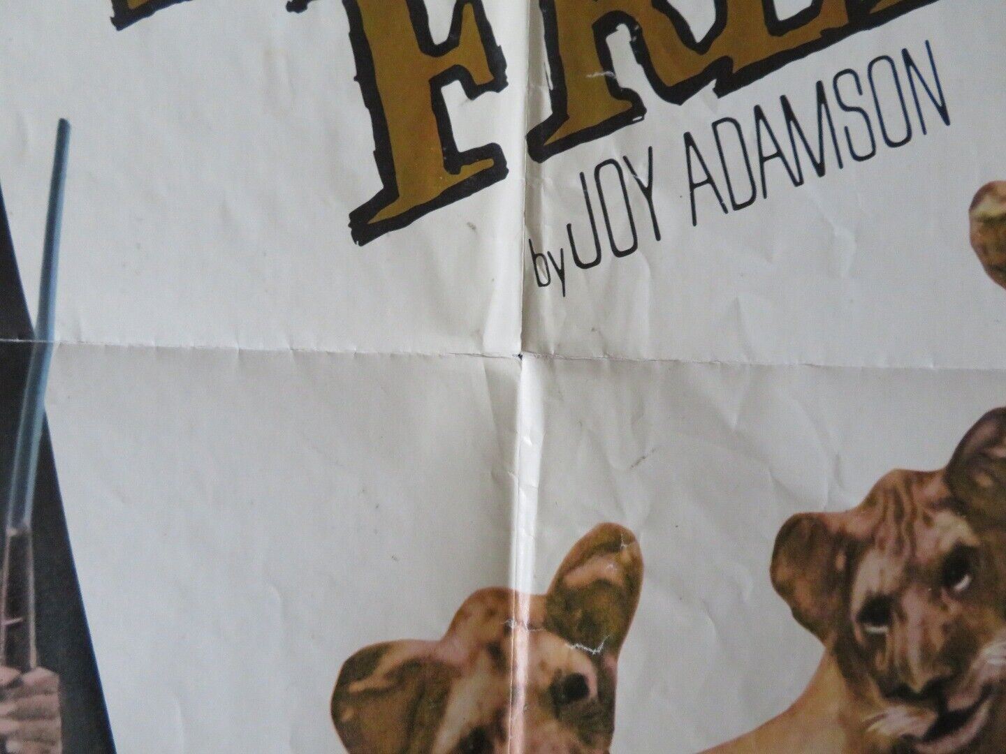 LIVING FREE FOLDED US ONE SHEET POSTER NIGEL DAVENPORT 1972 Movie posters