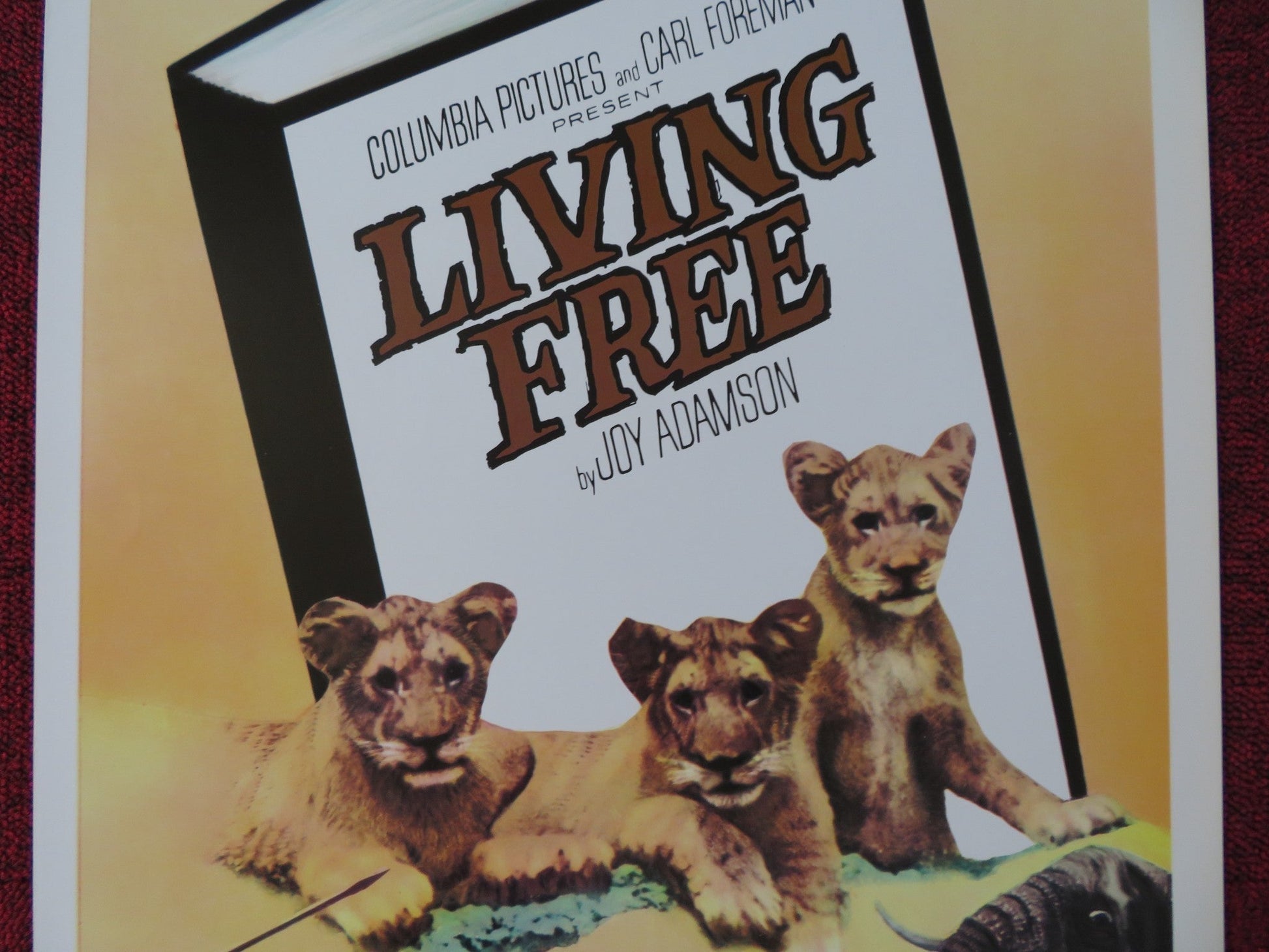LIVING FREE US INSERT (14"x 36") POSTER NIGEL DAVENPORT SUSAN HAMPSHIRE 1972 Rendezvous Cinema Movie posters