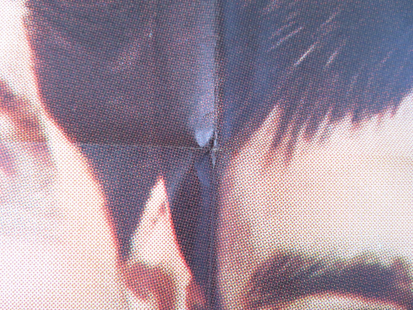 LIVING IT UP PARDNERS COMBO FOLDED US ONE SHEET POSTER DEAN MARTIN J. LEWIS 1965 Rendezvous Cinema Movie posters