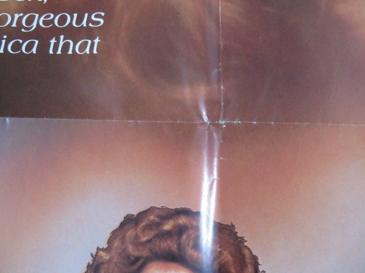 LIZ / PRIVATE PLEASURES US ONE SHEET POSTER PAUL GERBER ELENA GLEEN Movie posters