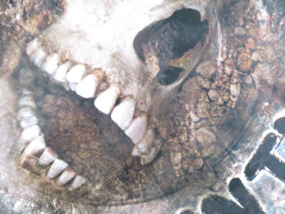 LONE STAR - B US ONE SHEET ROLLED POSTER RON CANADA CHRIS COOPER 1996 Rendezvous Cinema Movie posters