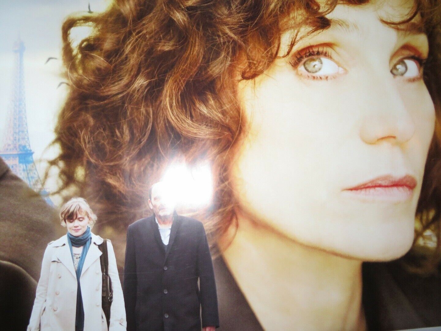 LOOKING FOR HORTENSE QUAD (30"x 40") ROLLED POSTER JEAN - PIERRE BARCRI 2012 Rendezvous Cinema Movie posters