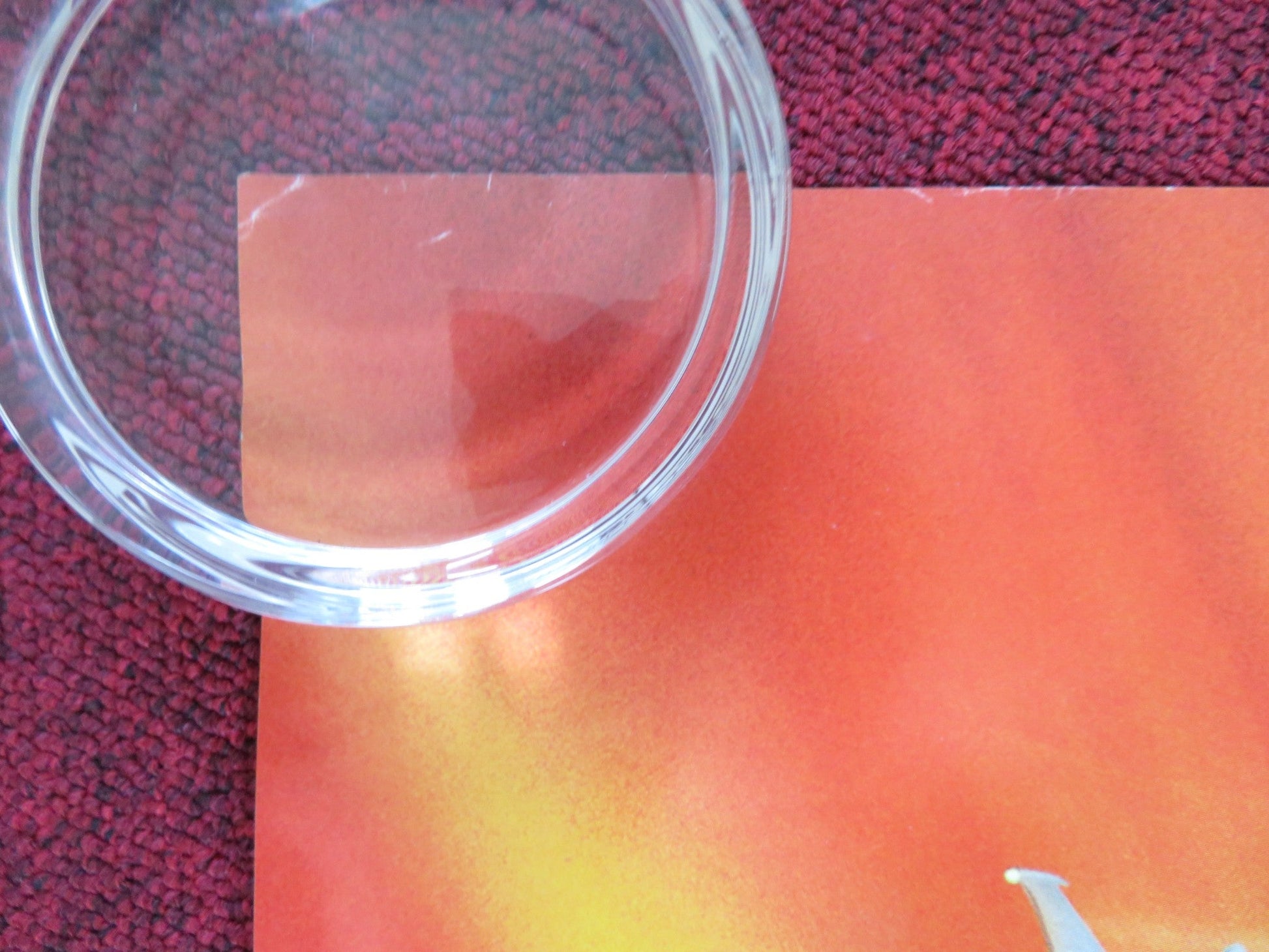 LOONEY TUNES: BACK IN ACTION UK QUAD (30"x 40") ROLLED POSTER B. FRASER 2003 Rendezvous Cinema Movie posters